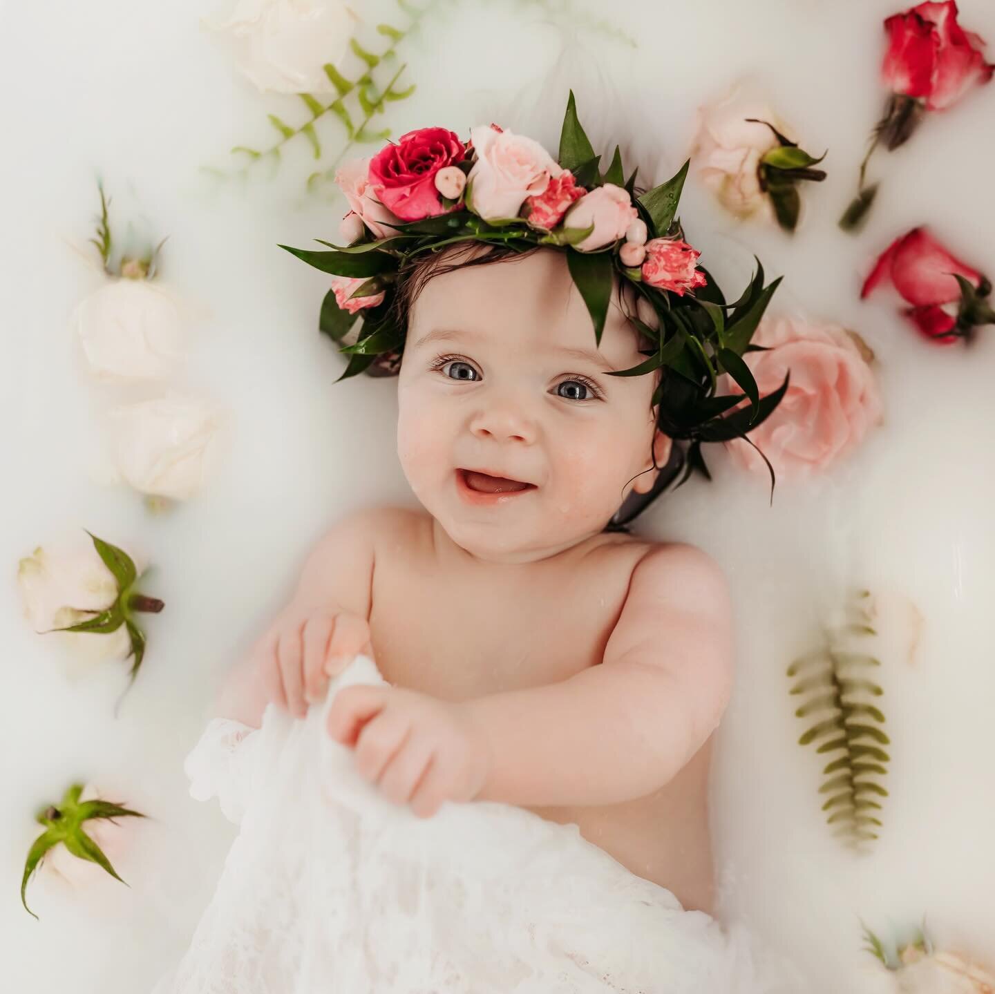 Gah!! I just love this little sweetie! And she loved her milk bath session. Baby Addy | 9M

#milkbath #milkbathsession #9msession #theplantcollective #flowercrowns