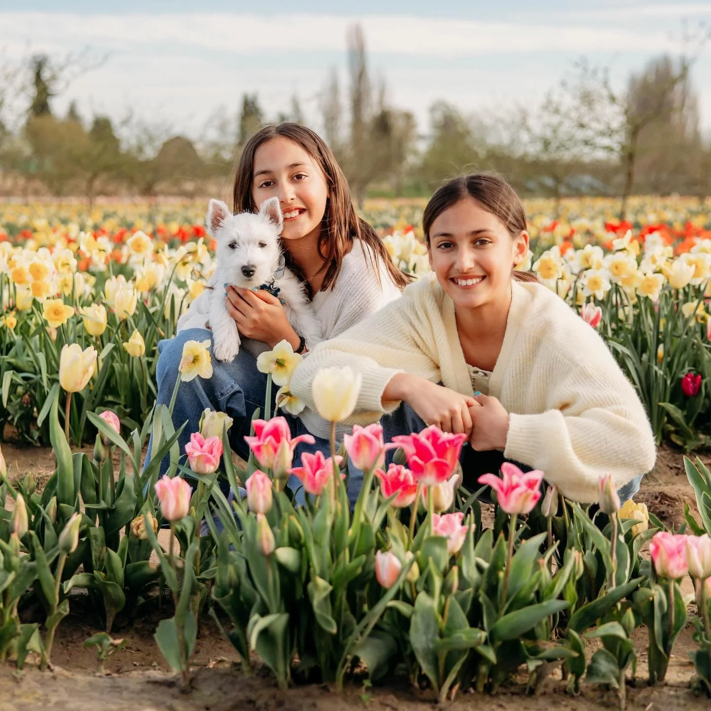 Jenna and Samara just turned TEN 🥳🌷 and we captured the milestone in the most beautiful way...walking through the tulip fields with their adorable new Westie pup, Max.