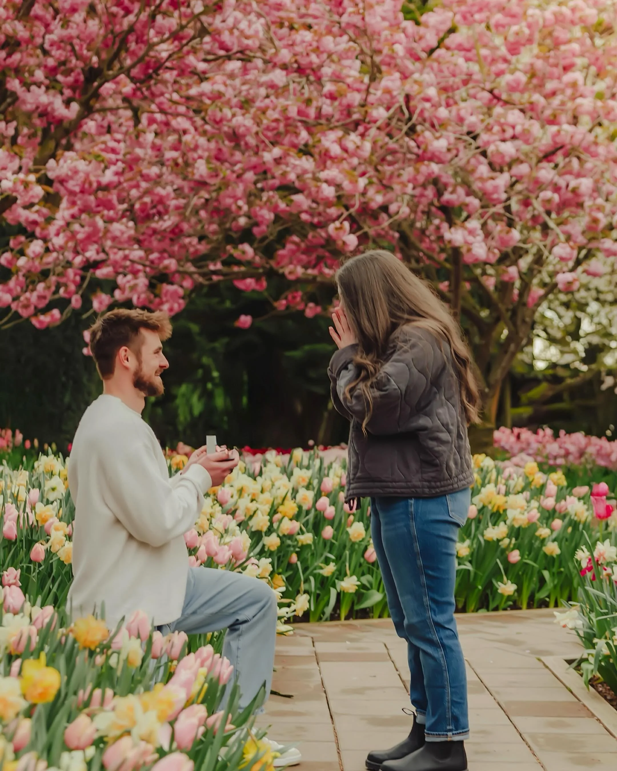 Congratulations to Rendan &amp; Ryleigh!! 🌷💍 They came from Montana for the tulip festival, and Rendan made it even more unforgettable by popping the question! 

#tulipfestival #roozengaarde #marriageproposal #skagitvalleyphotographer
