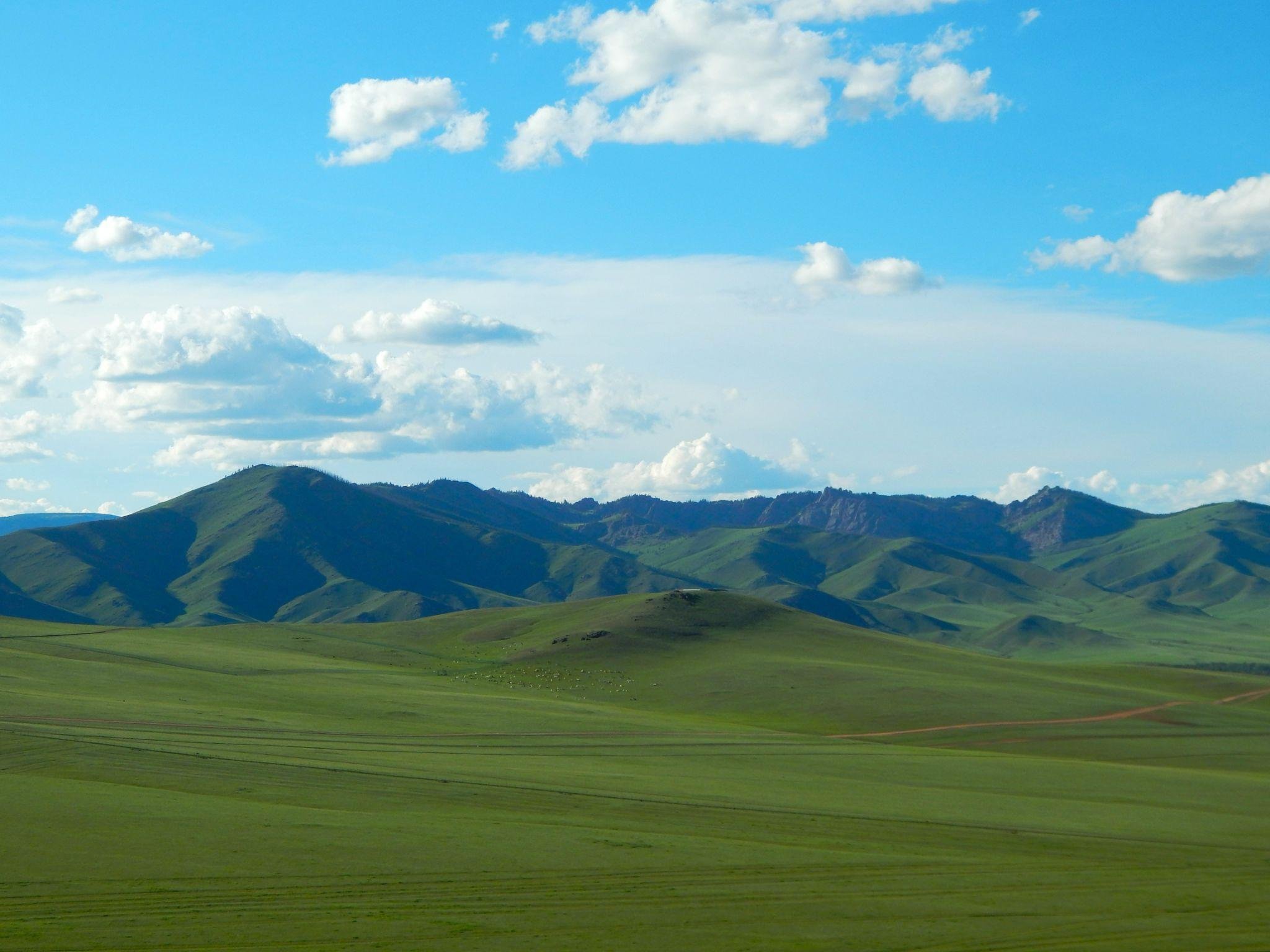 SUMMER SCHOLARS BLOG: Gadha Raj