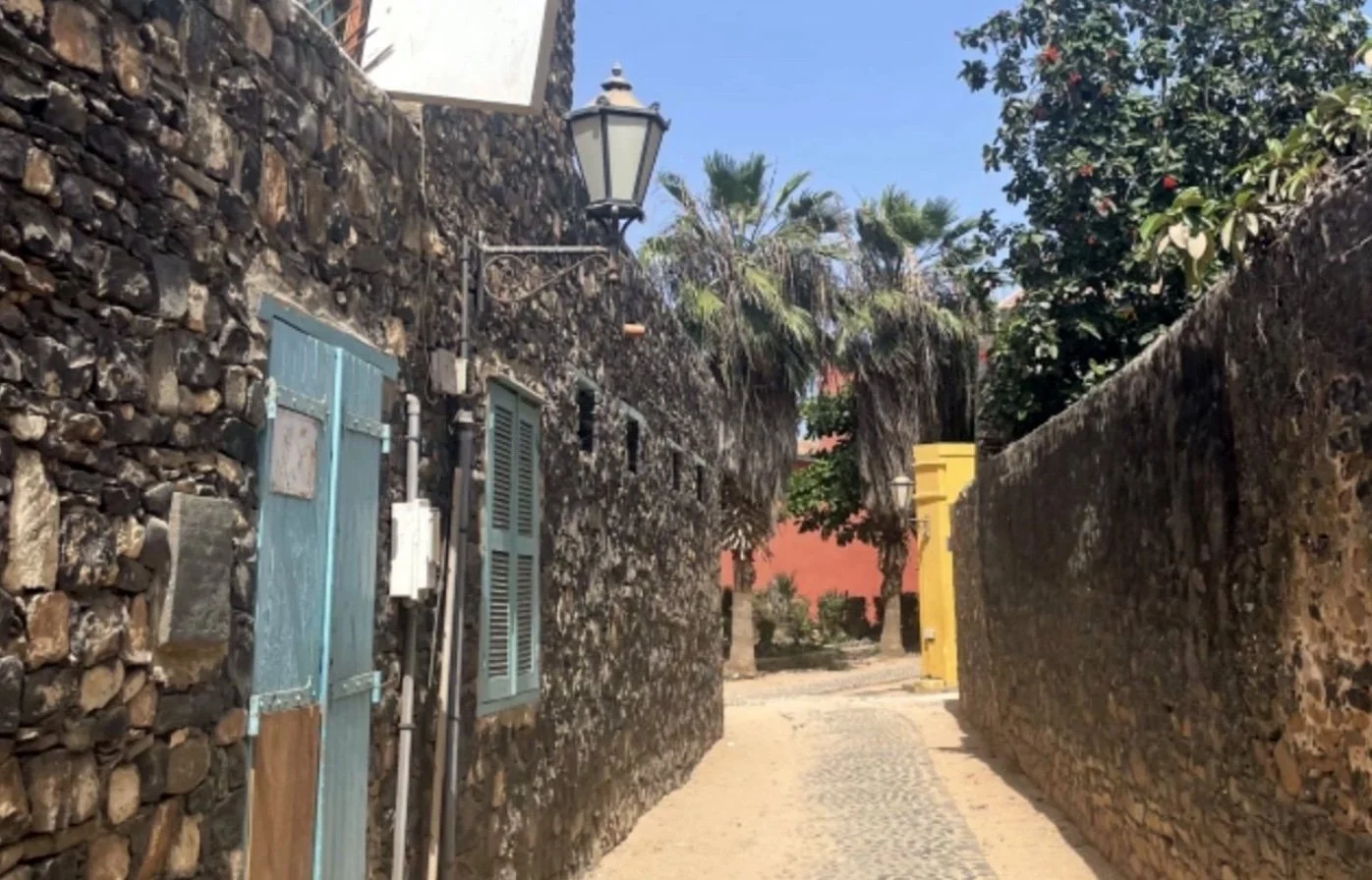 SUMMER SCHOLARS BLOG : Saru Duckworth