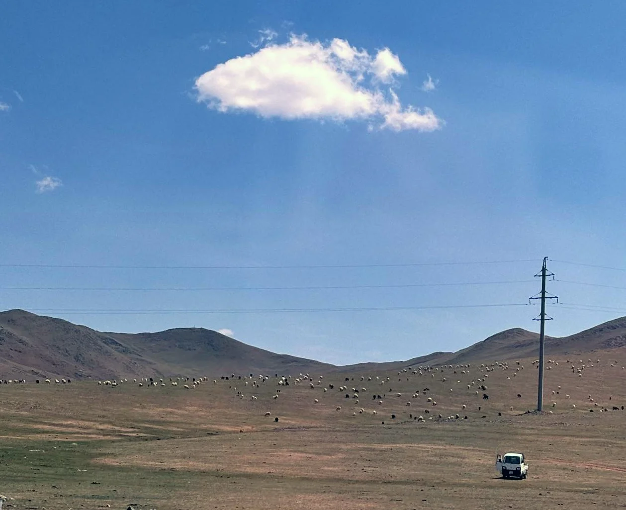 SUMMER SCHOLARS BLOG : Priskila Teresa Nandita