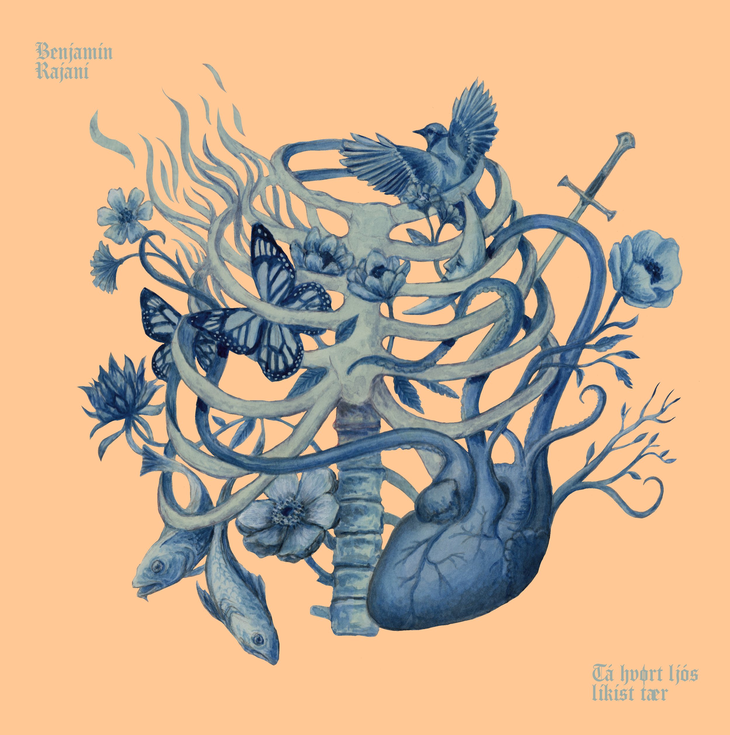Benjamin Rajani - Tá hvørt ljós líkist tær  2024