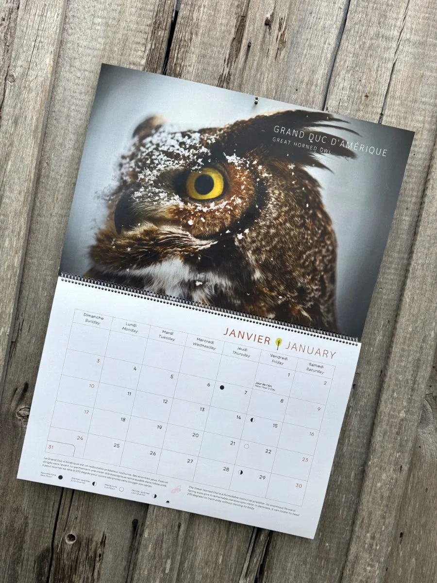 Calendrier 2027 - Janvier