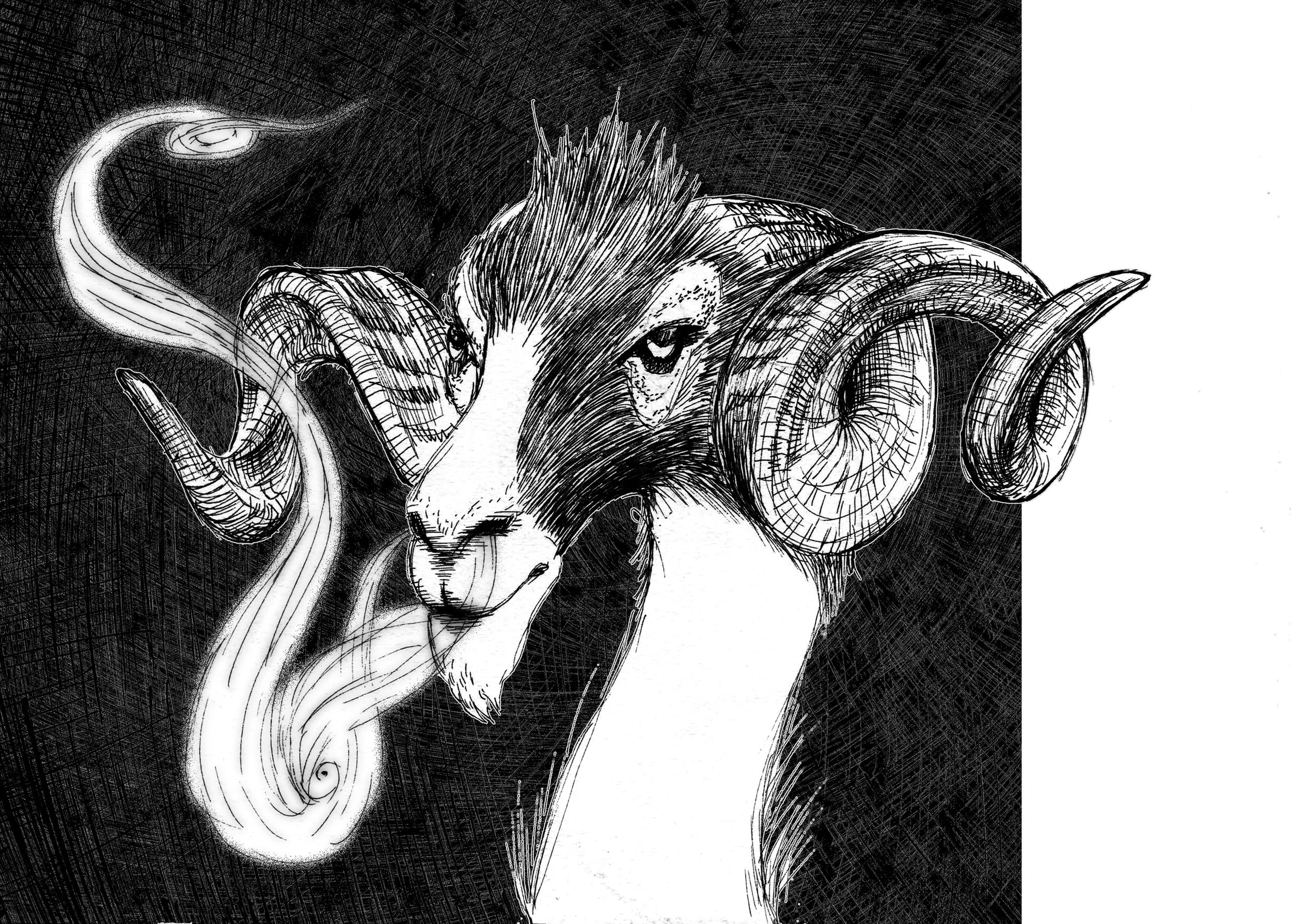 CREATUREs_205x180mm_sp14c.jpg