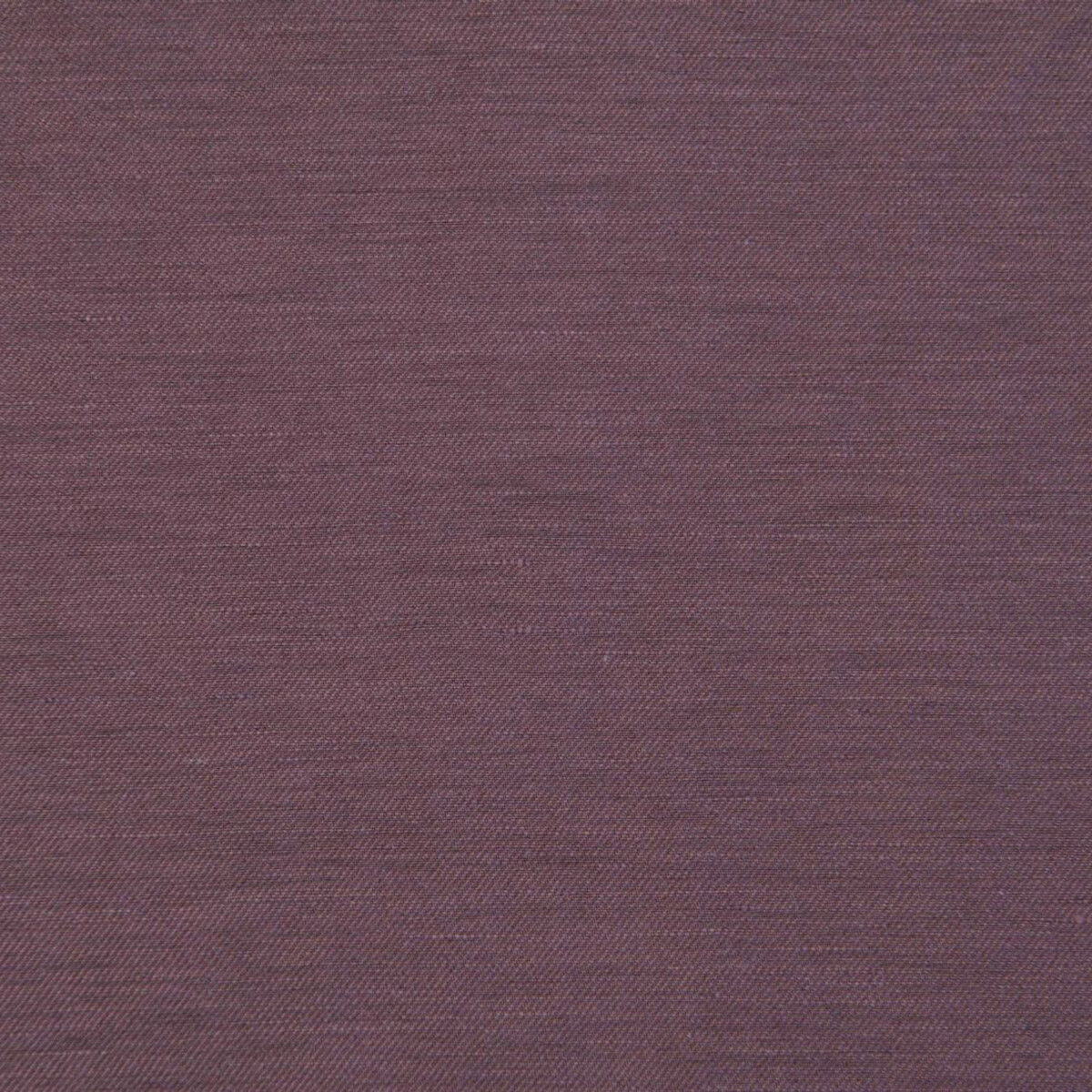 Tra-Crocus.jpg