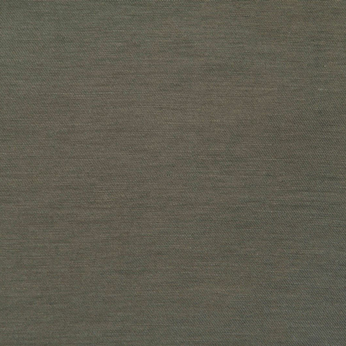 Tra-Pigeon.jpg