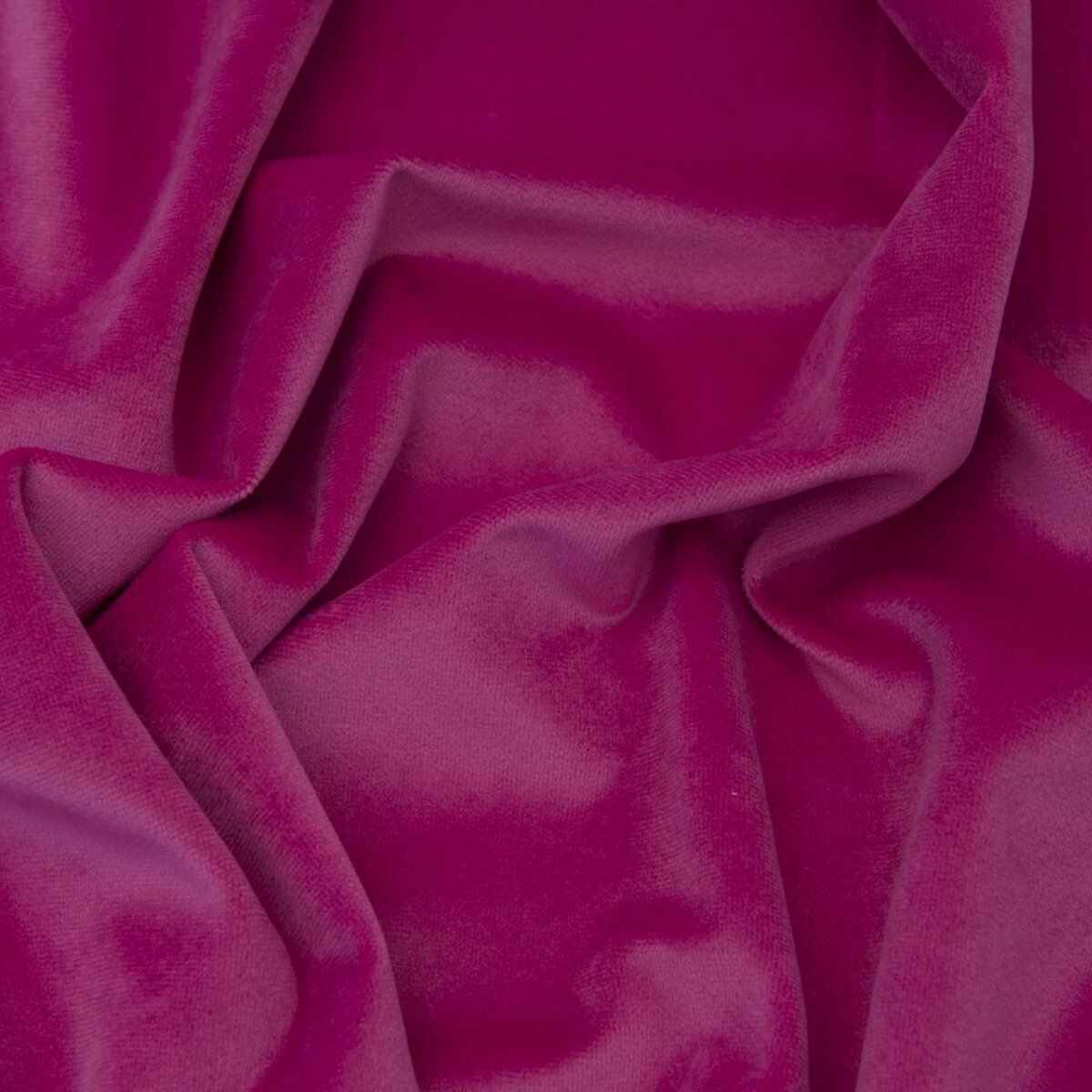 Asp-Cerise.jpg
