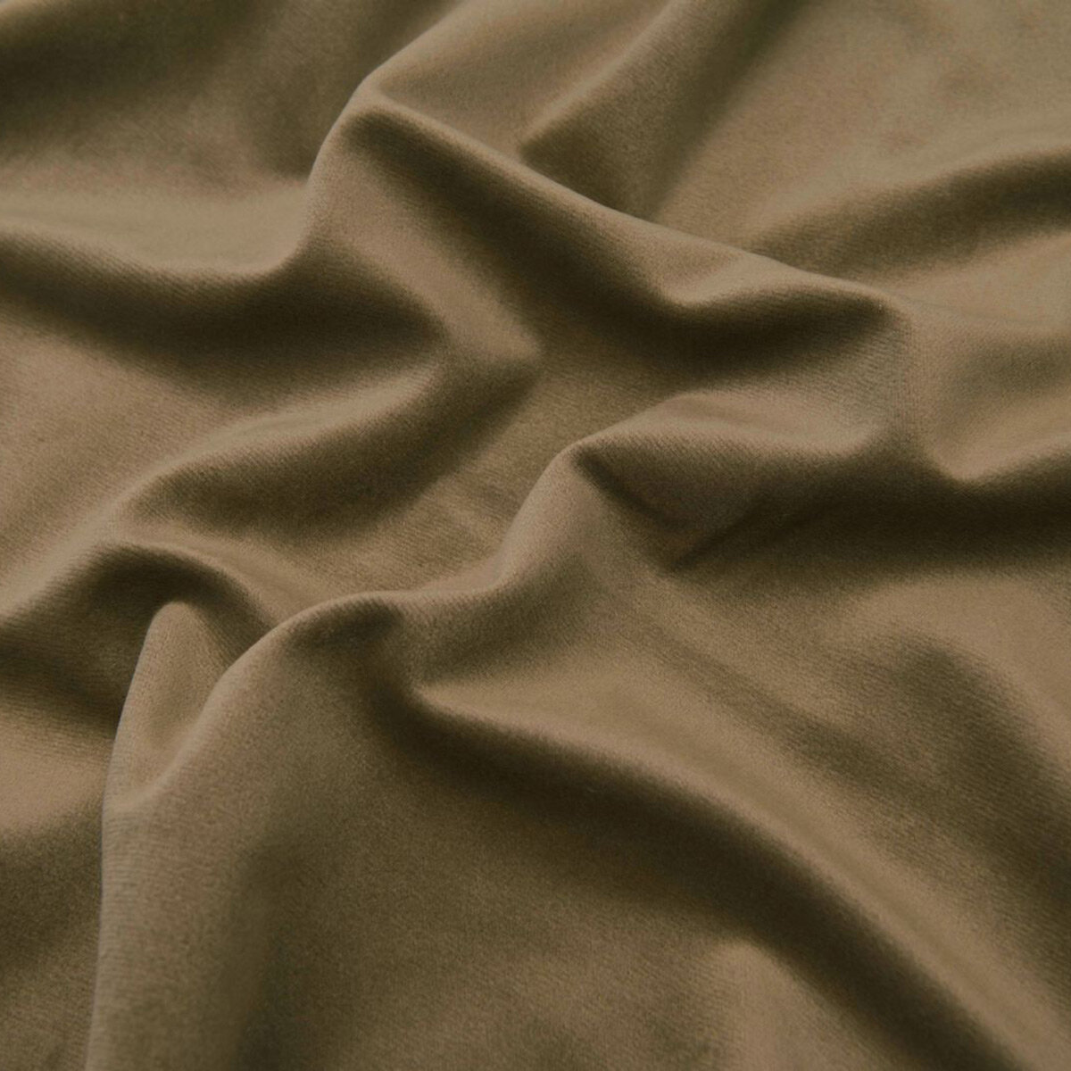 Asp-Sepia.jpg