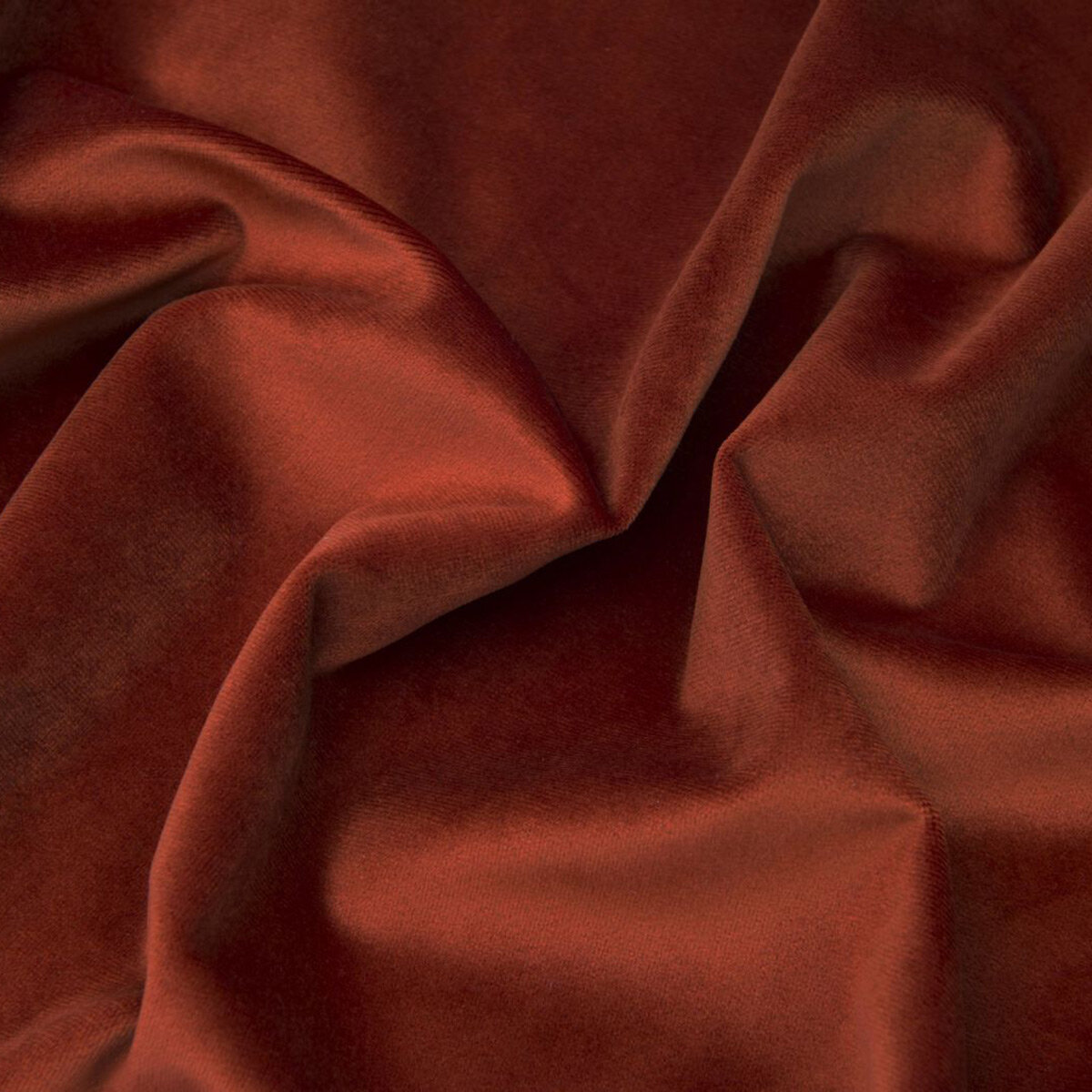 Asp-Tangerine.jpg