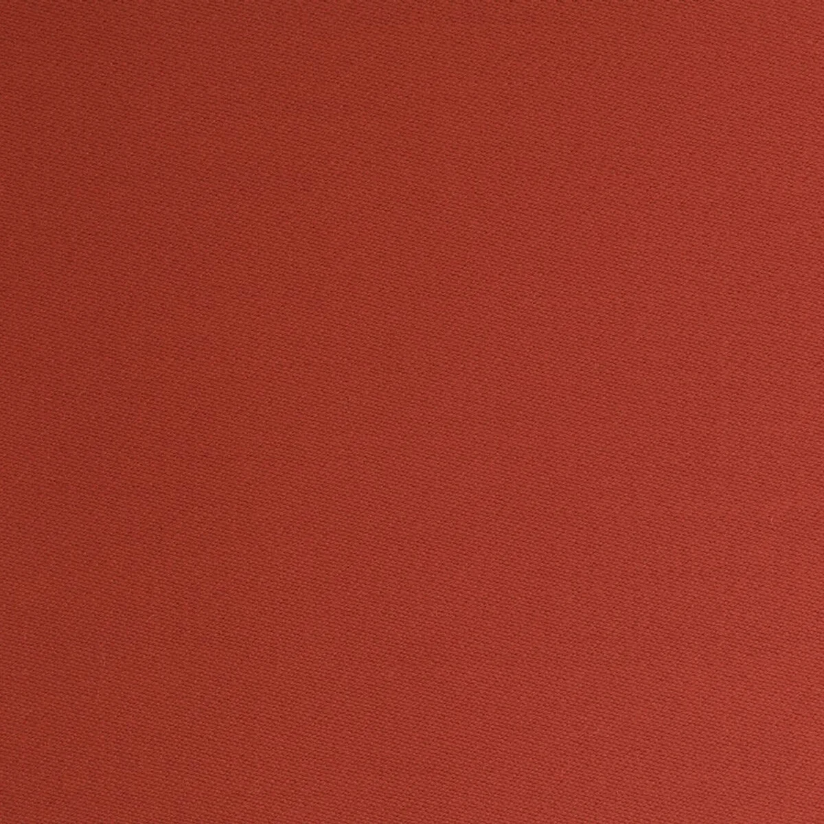 Ede-Poppy.jpg