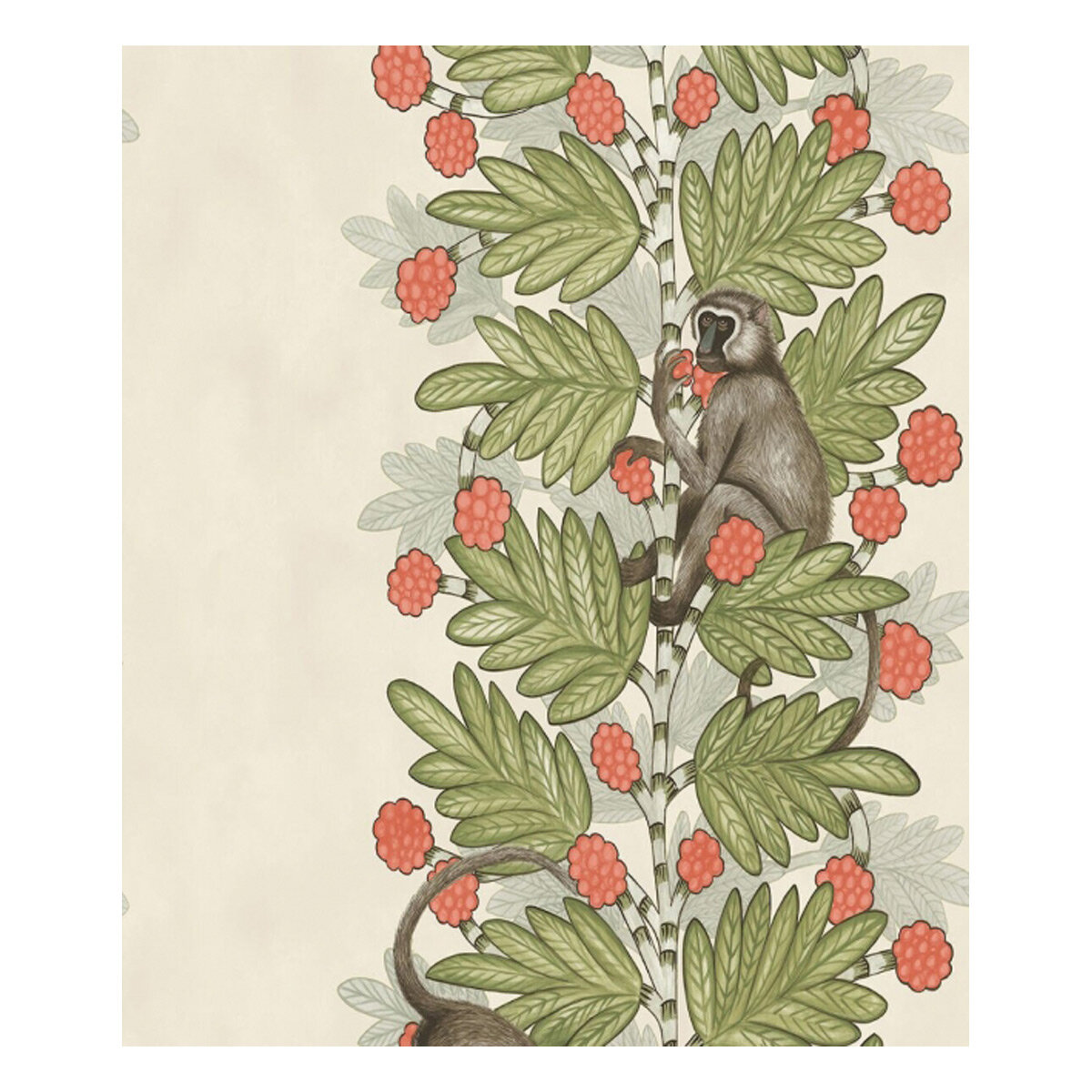 Acacia Ardmore Olive&Coral.jpg