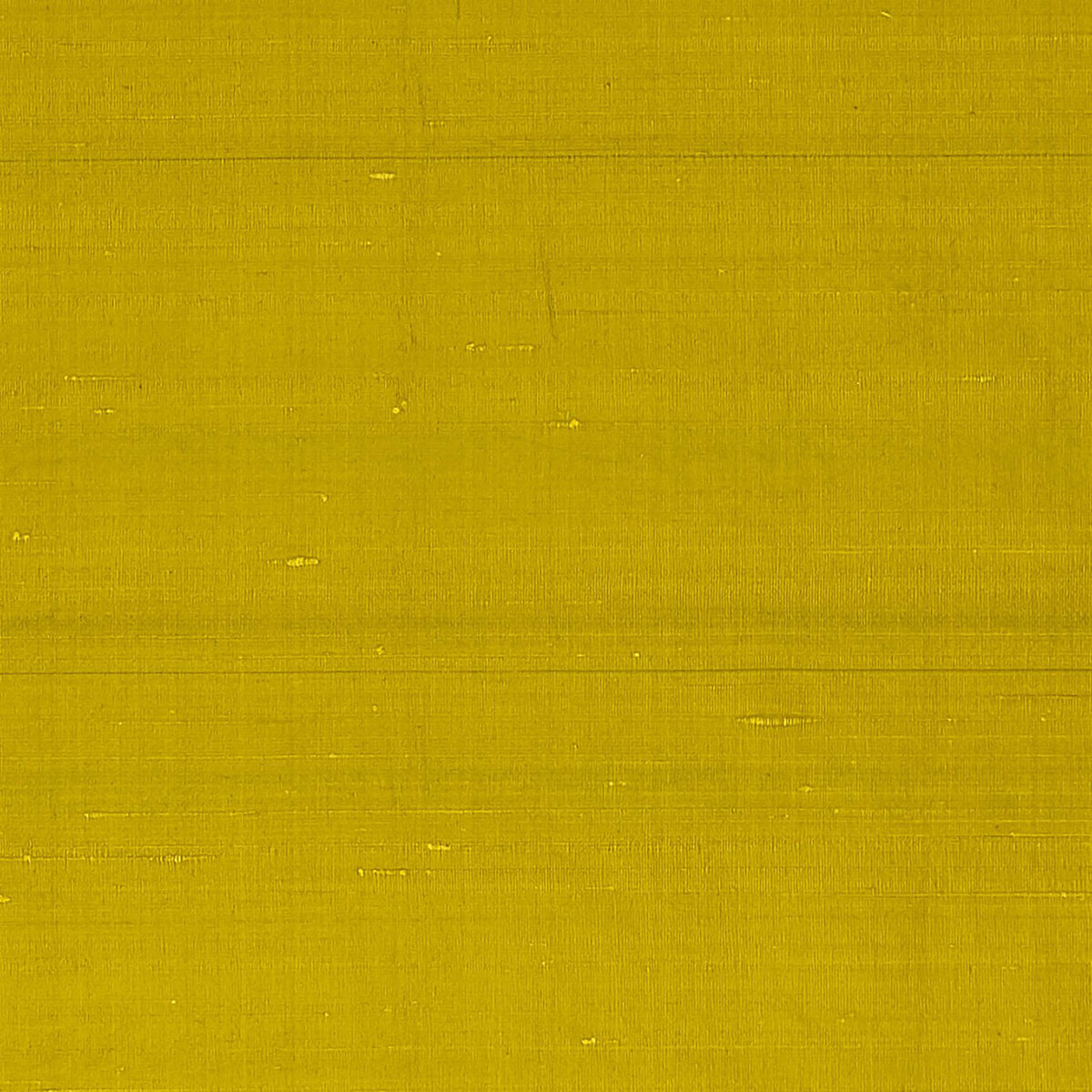 F1473-13.jpg