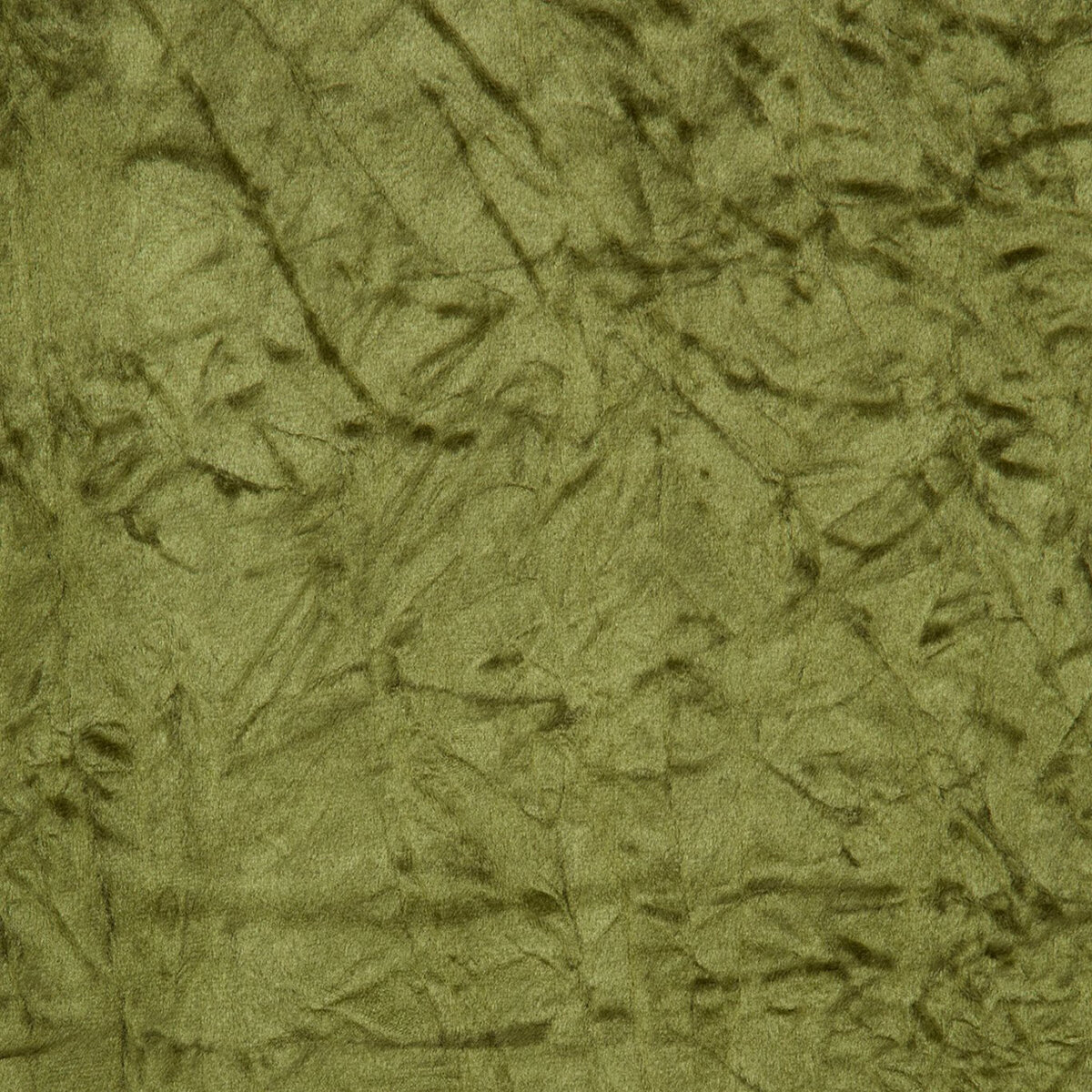 F0966-06.jpg
