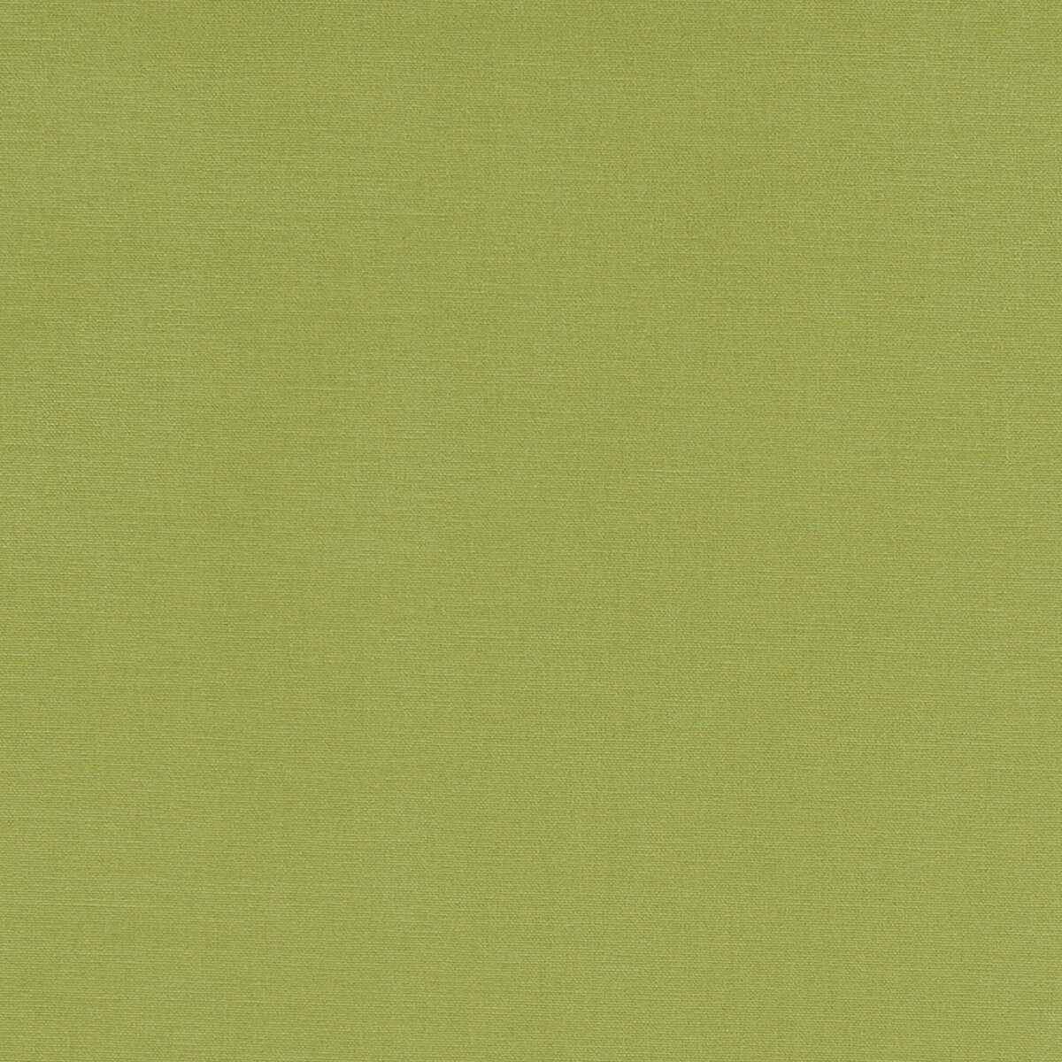 F1097-01.jpg