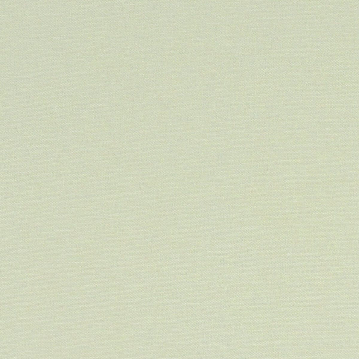 F1097-05.jpg