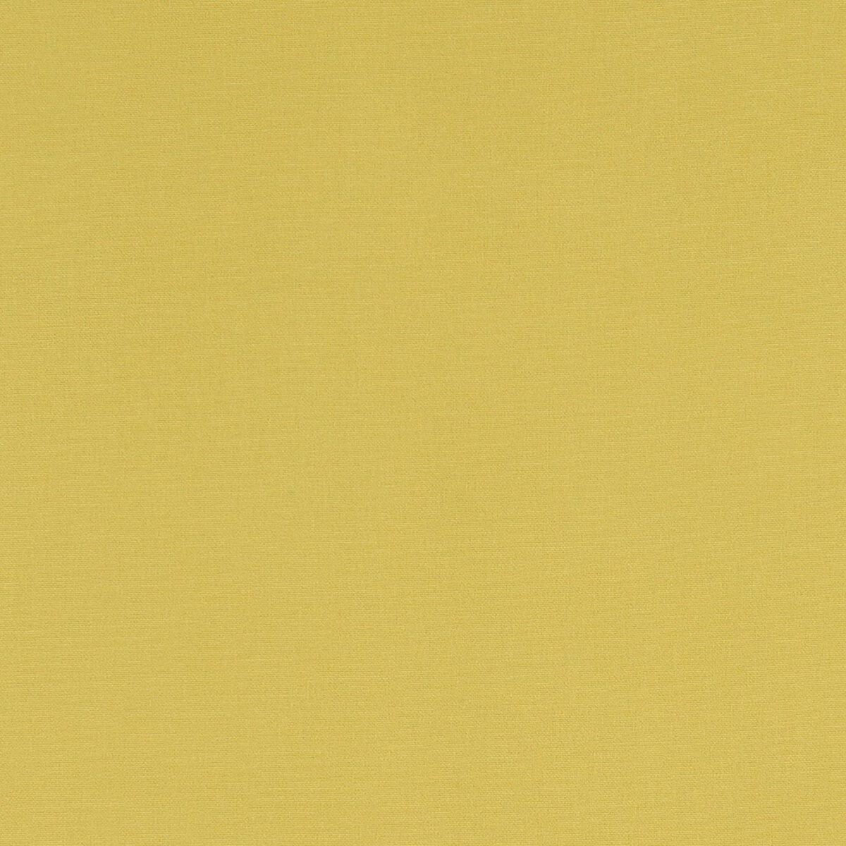 F1097-06-1.jpg