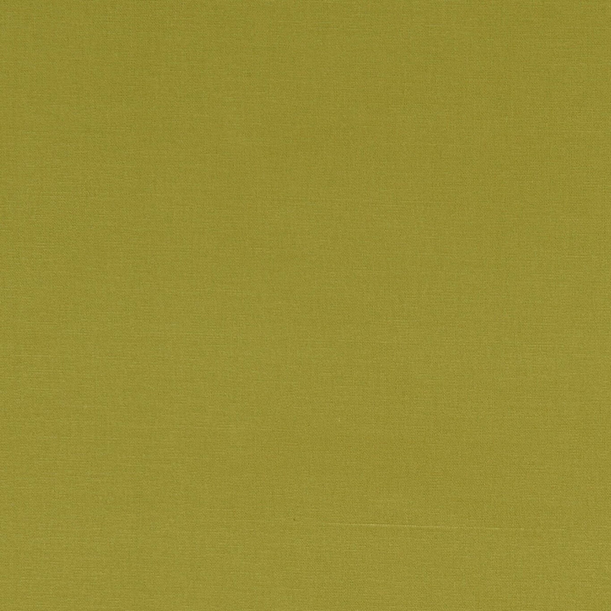 F1097-10.jpg