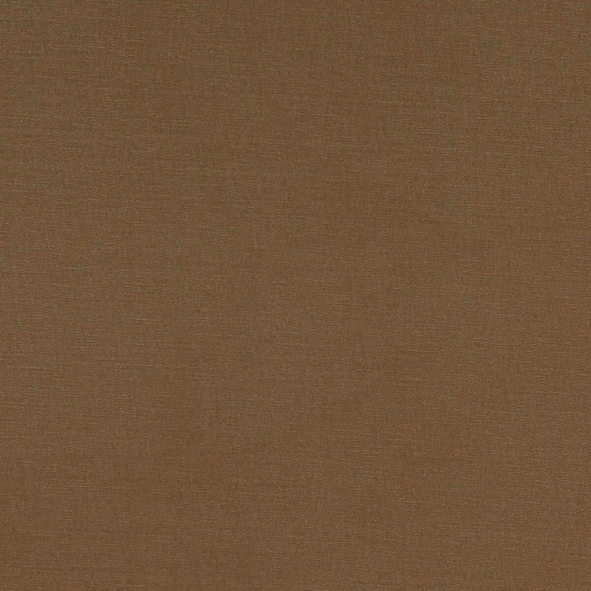 F1097-11.jpg