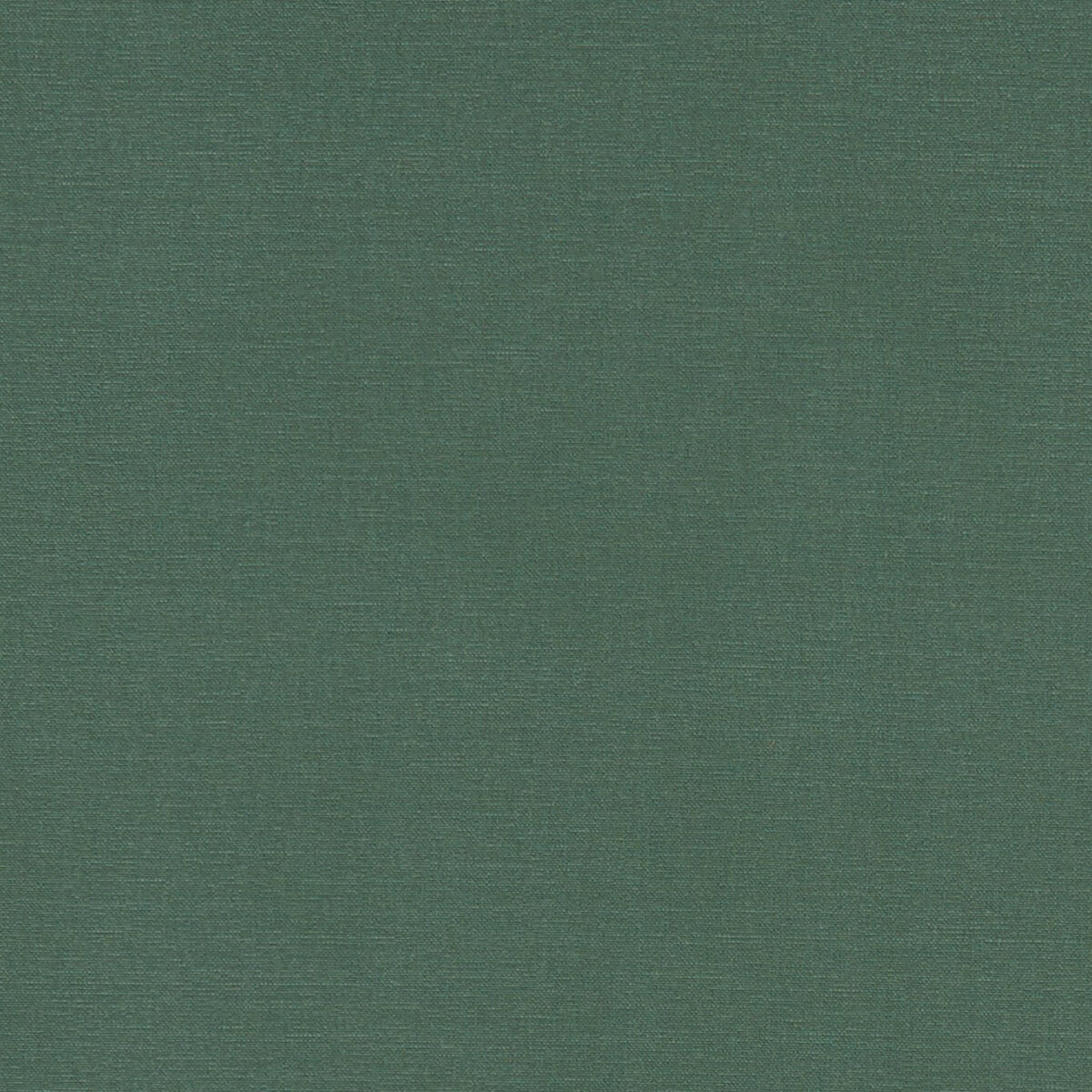 F1097-19.jpg