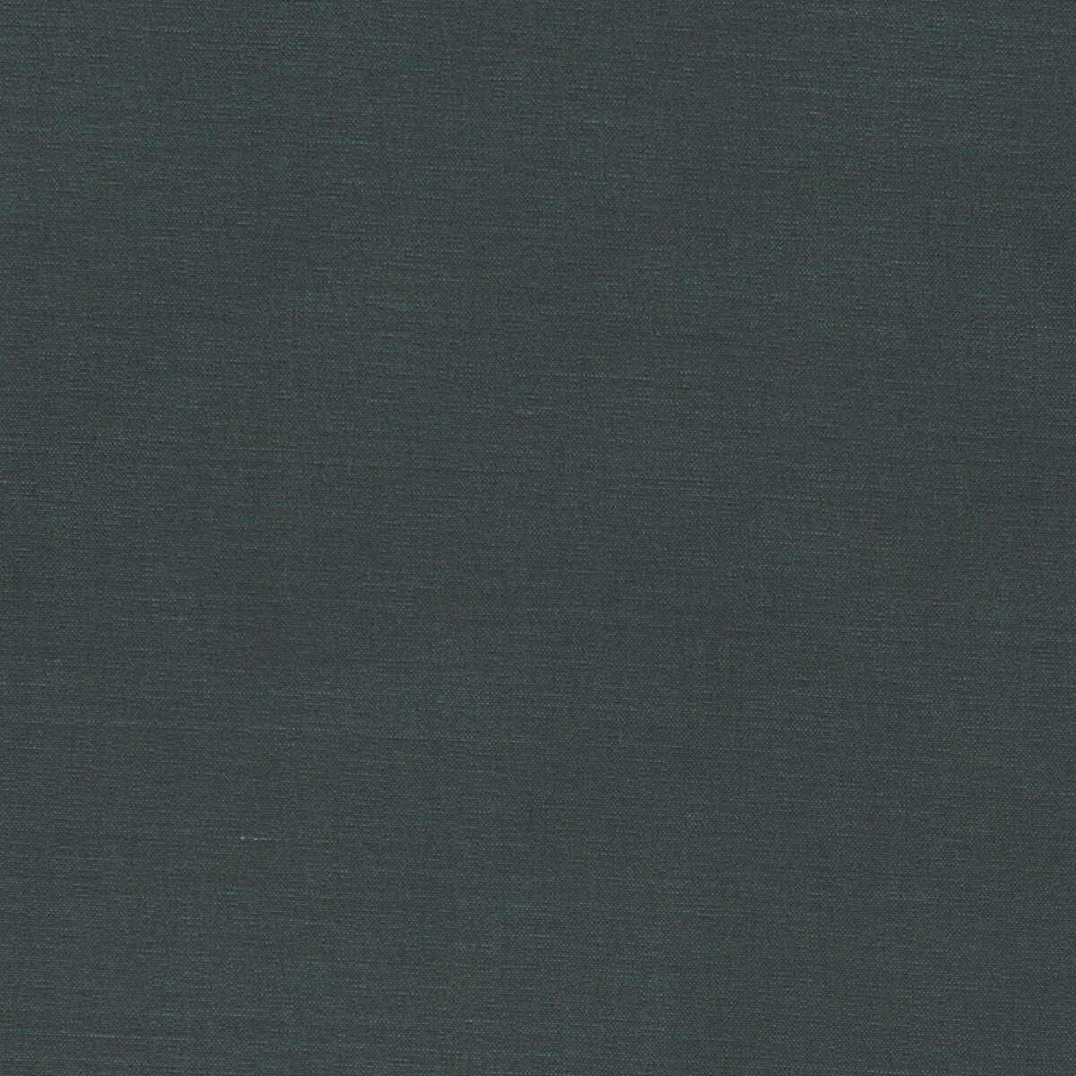 F1097-24.jpg