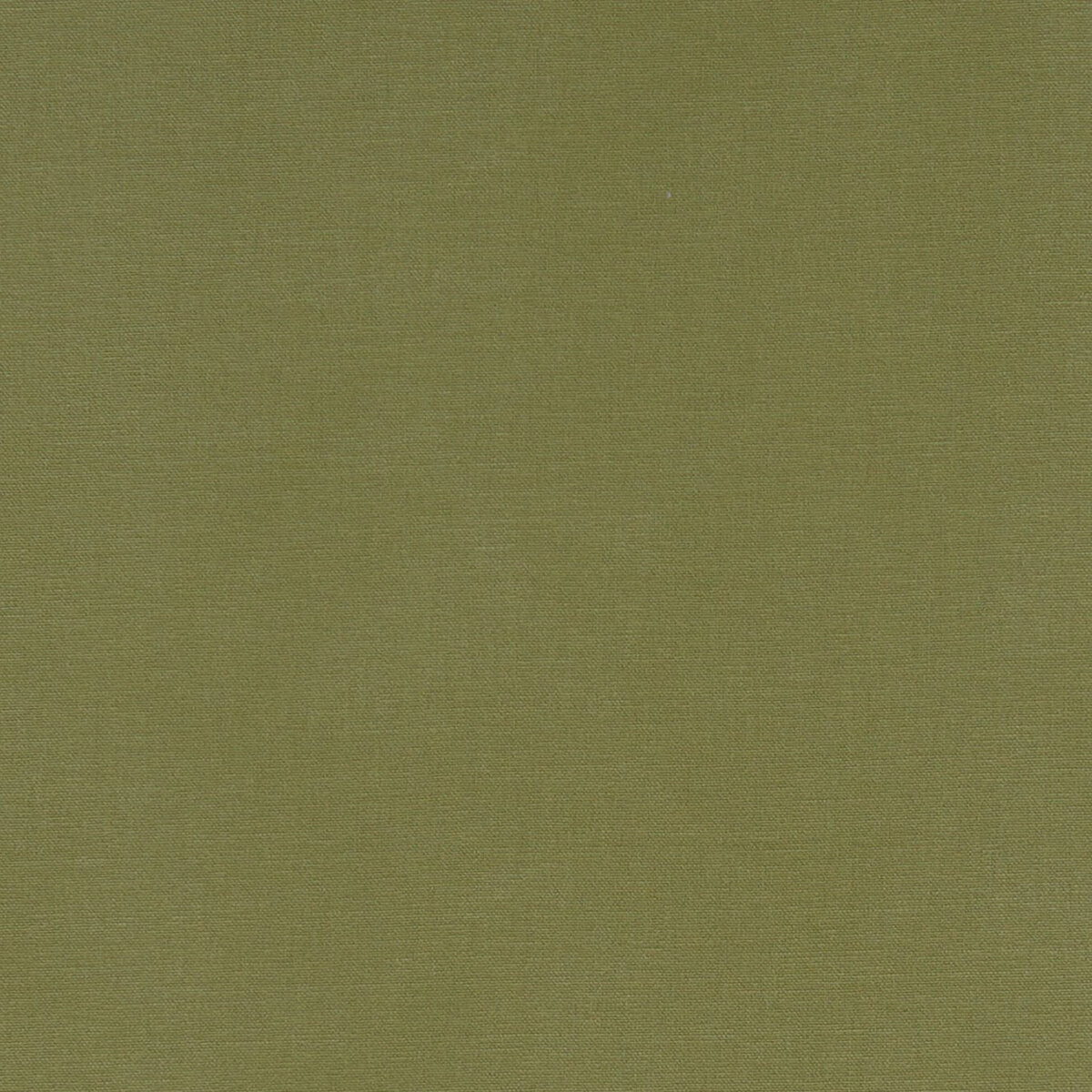 F1097-41.jpg