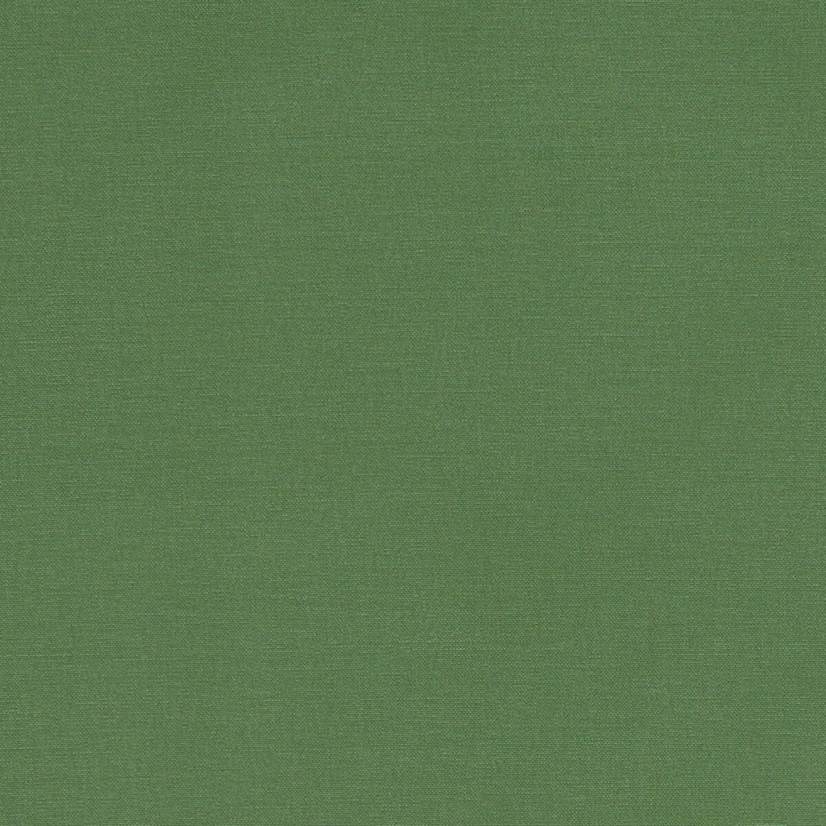 F1097-43.jpg