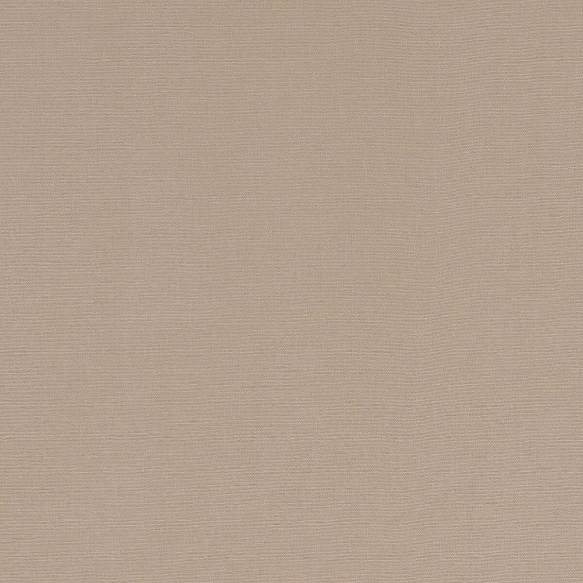F1097-55.jpg