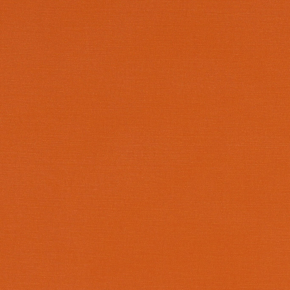 F1097-60.jpg