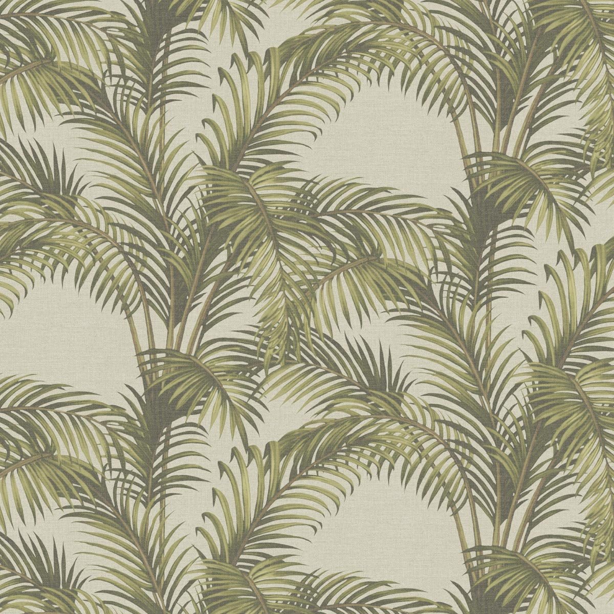 PA01626-PALMARIA-OLIVE-1.jpg