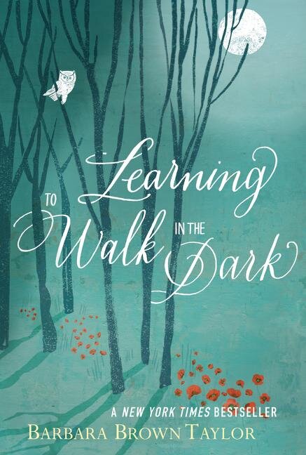 Learning to Walk in the Dark.jpg