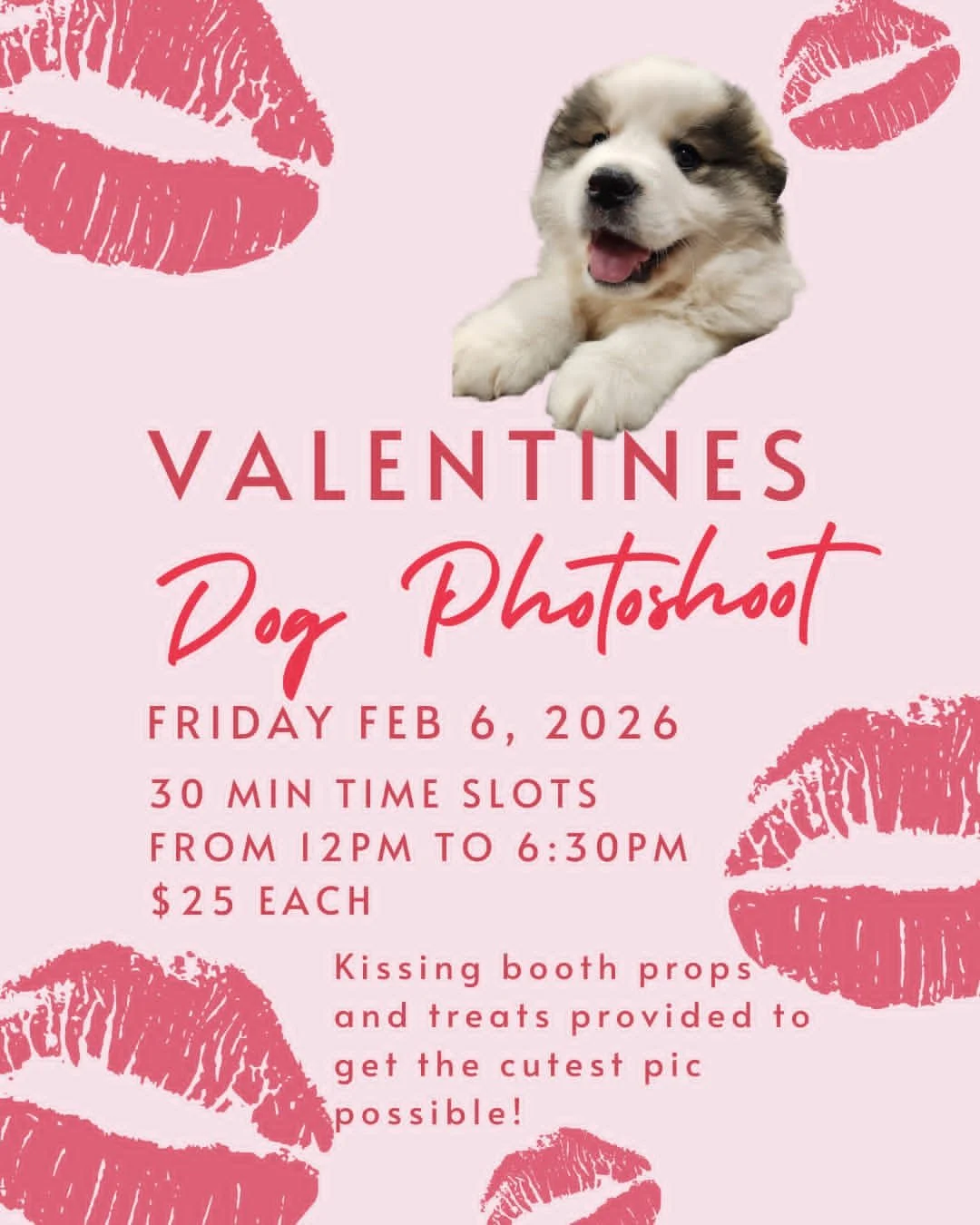 Valentines Day Photoshoot