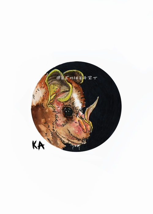 I Like Bats Kemick Art I Like Bats Kemick Art