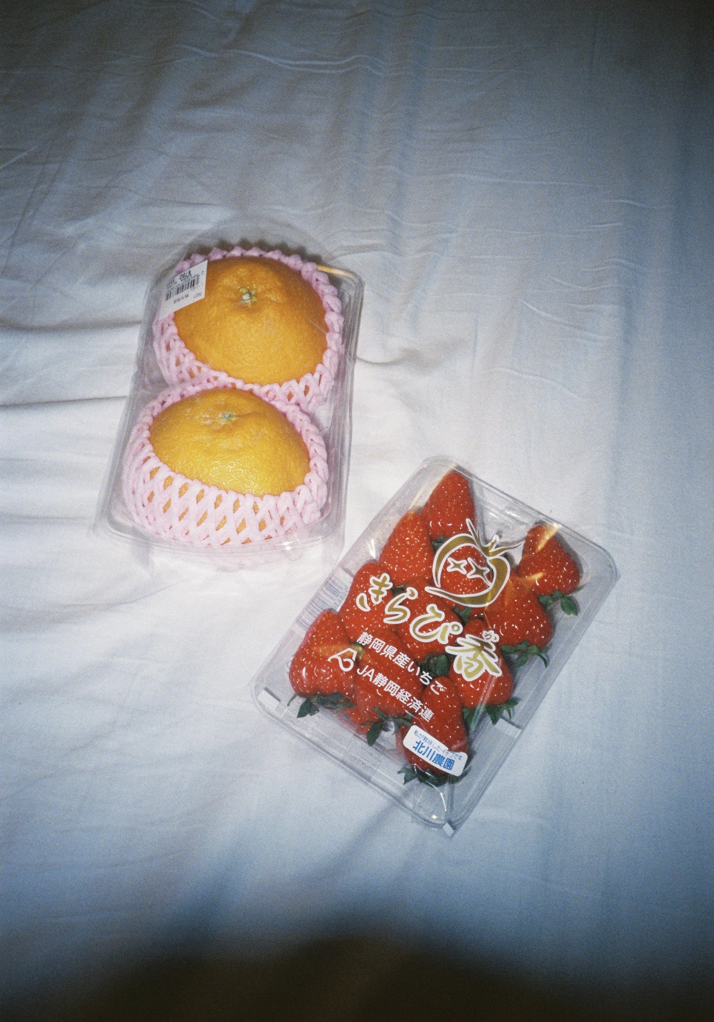 yulimaru-japan-2026-FILM_7171.JPG