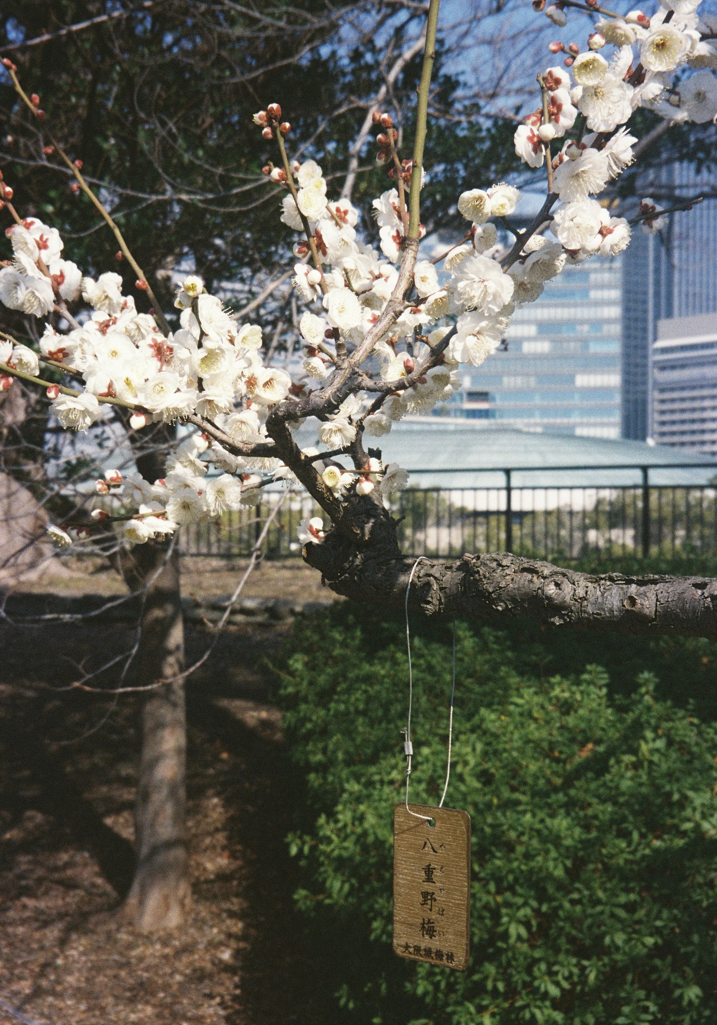 yulimaru-japan-2026-FILM_8016.JPG