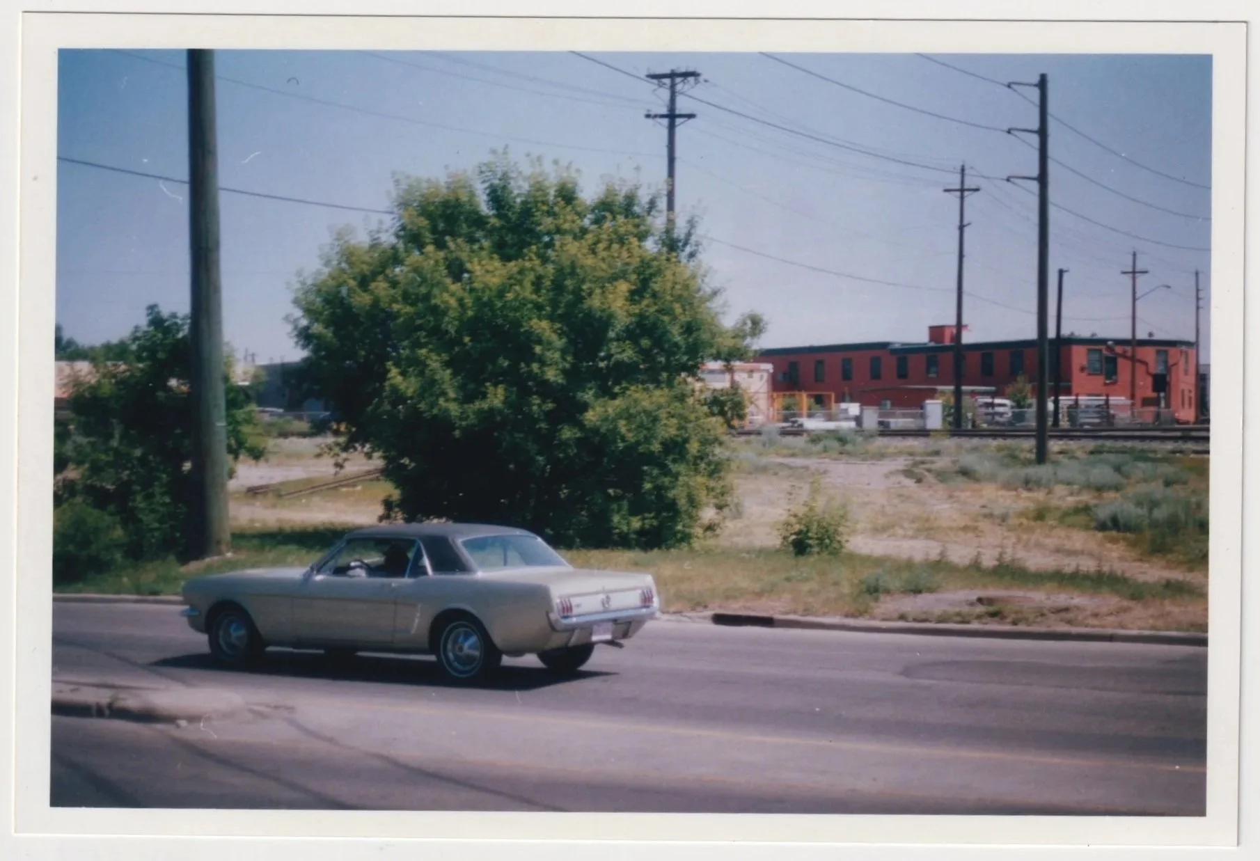 yulimaru-film+1.jpg