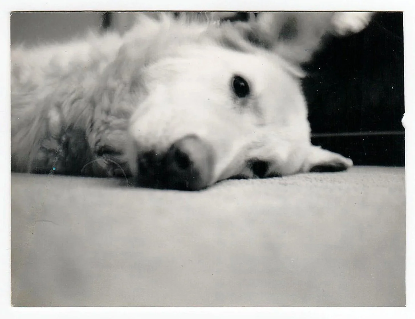 old+photos+006+kane.jpg