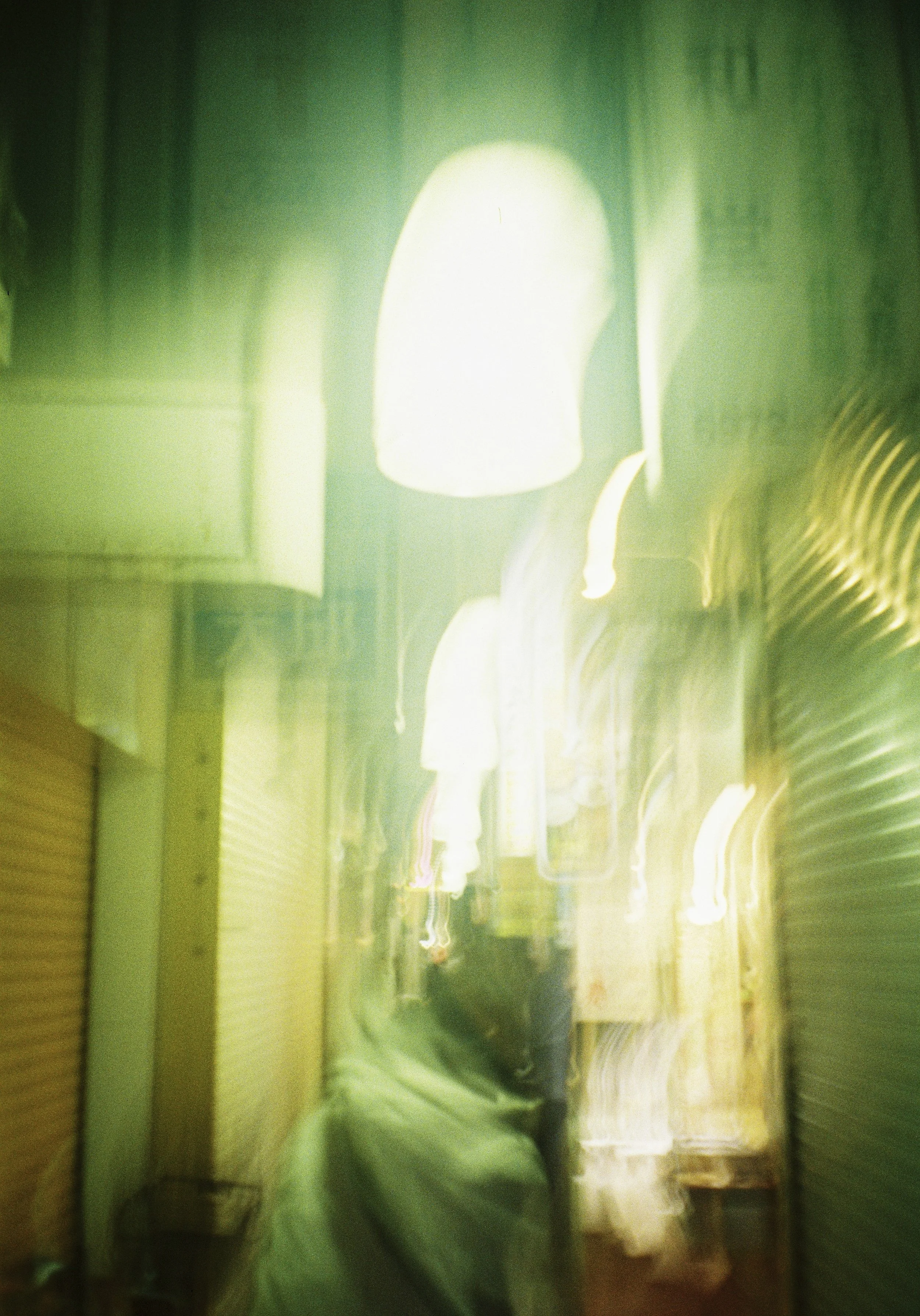 yulimaru-japan-2026-FILM_8021.JPG