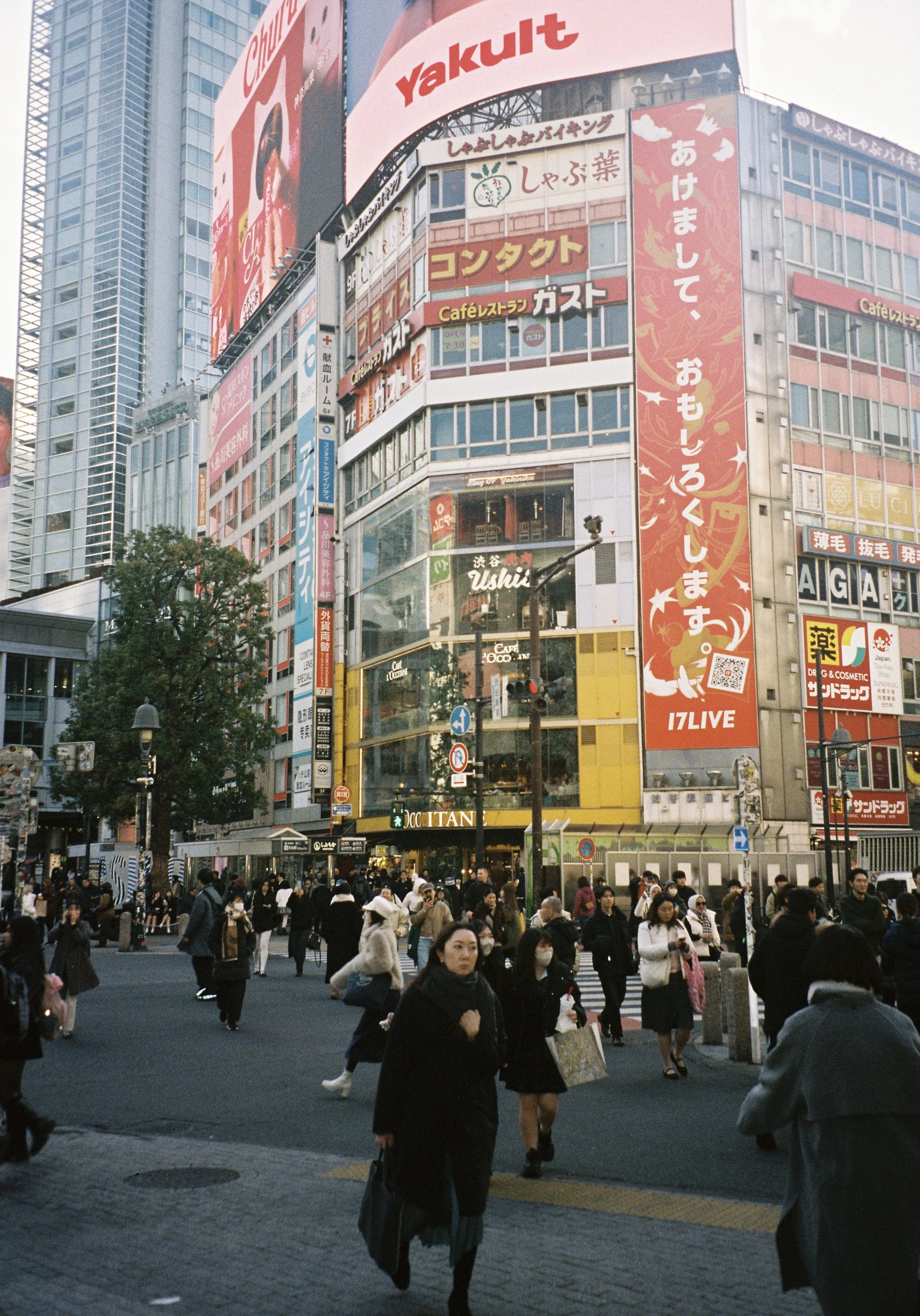 yulimaru-japan-2026-FILM_7319.JPG