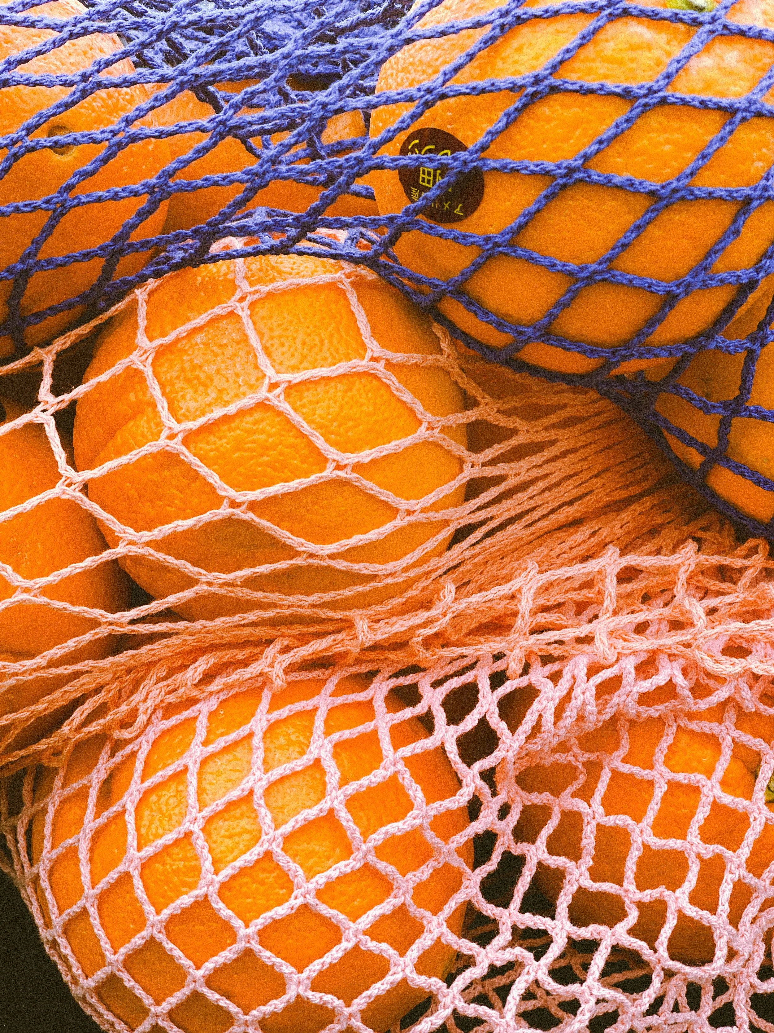marubashi-preserves-oranges.JPG