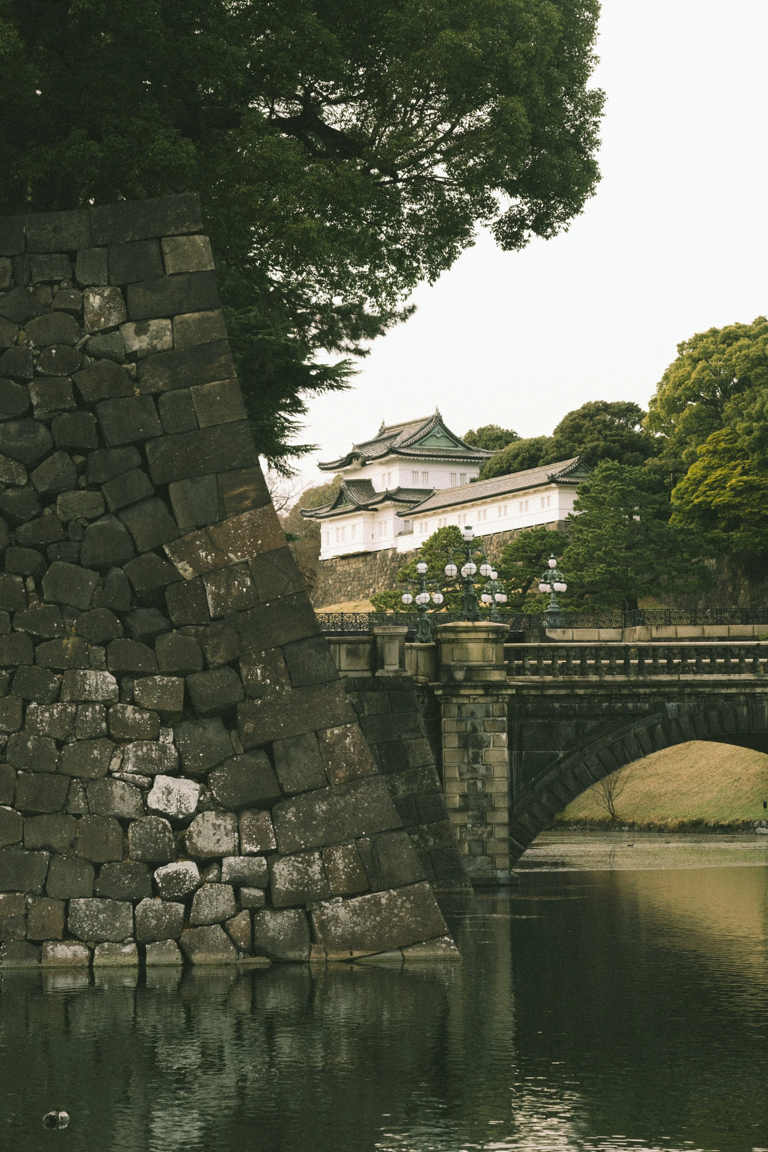 yulimaru-japan-2026-6.JPG