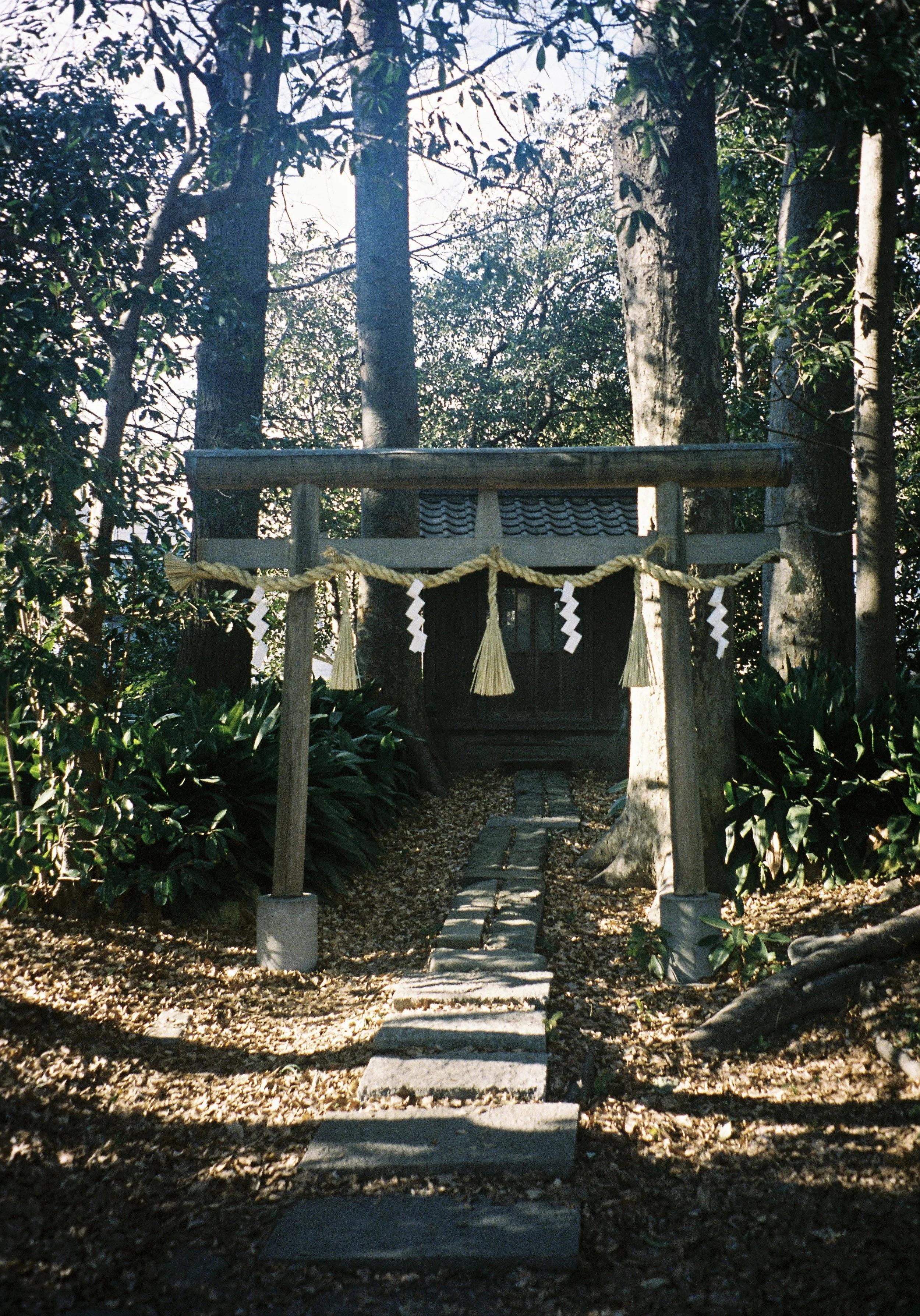 yulimaru-japan-2026-FILM_7332.JPG