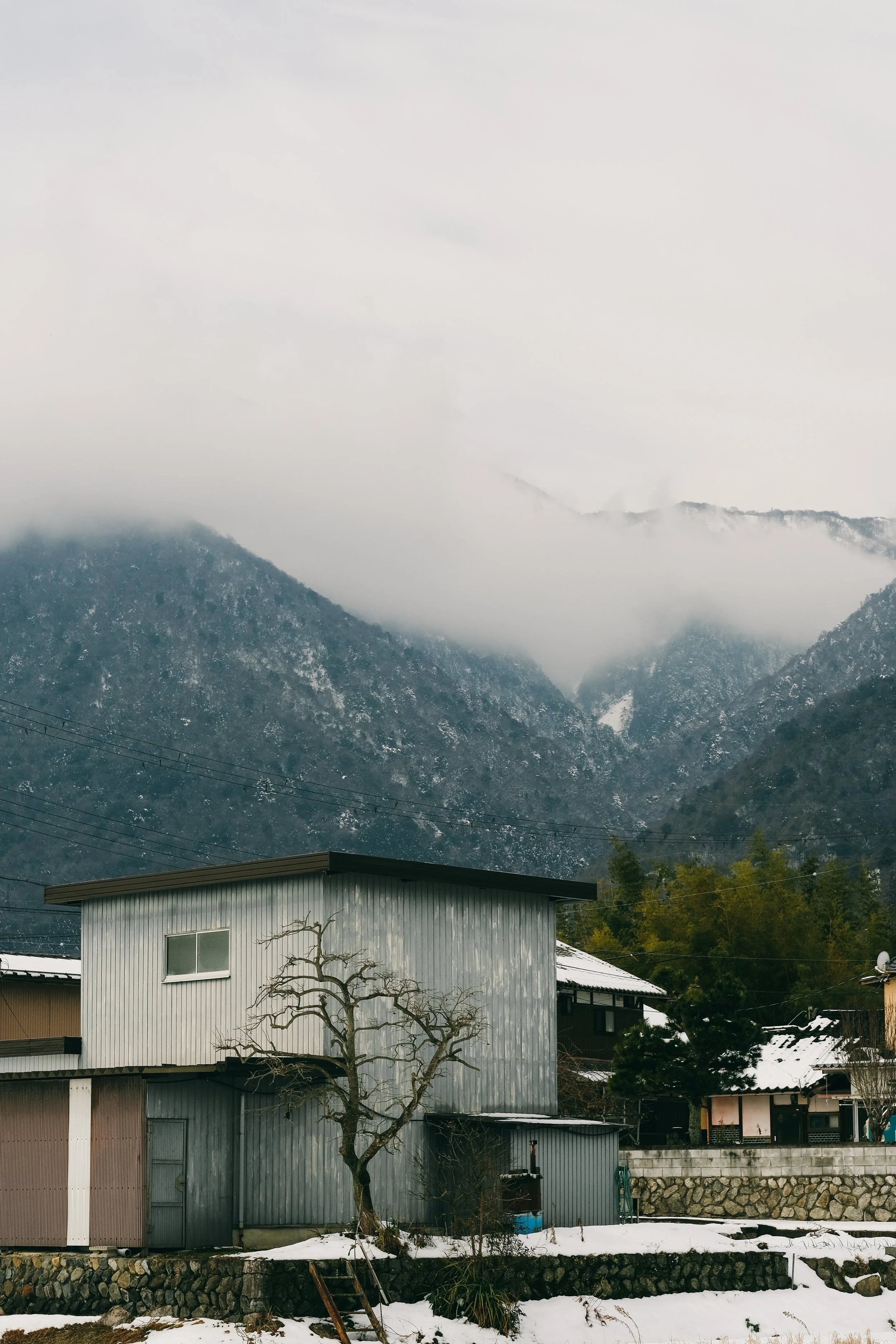 DSCF9659.jpg