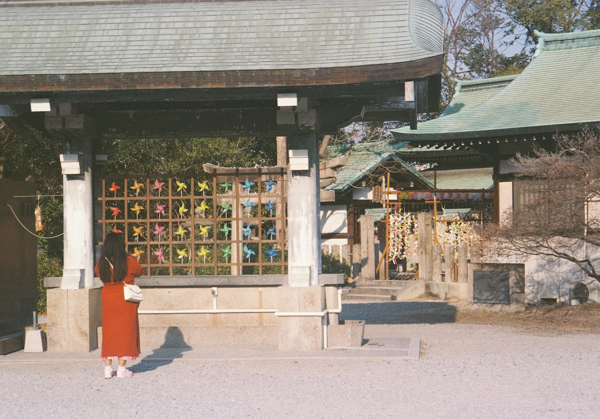 yulimaru-japan-2026-FILM_7992.JPG