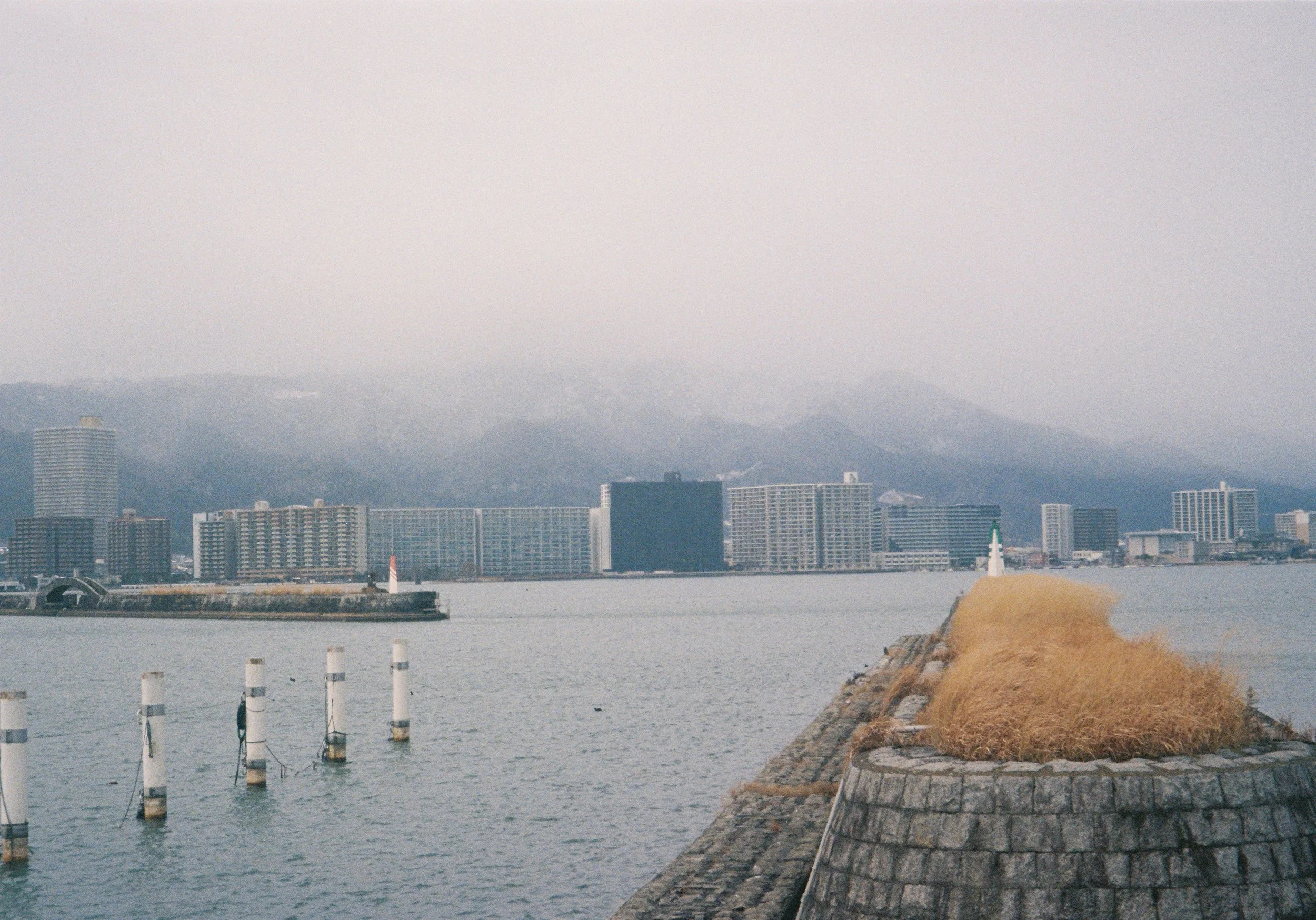 yulimaru-japan-2026-FILM_8637.JPG
