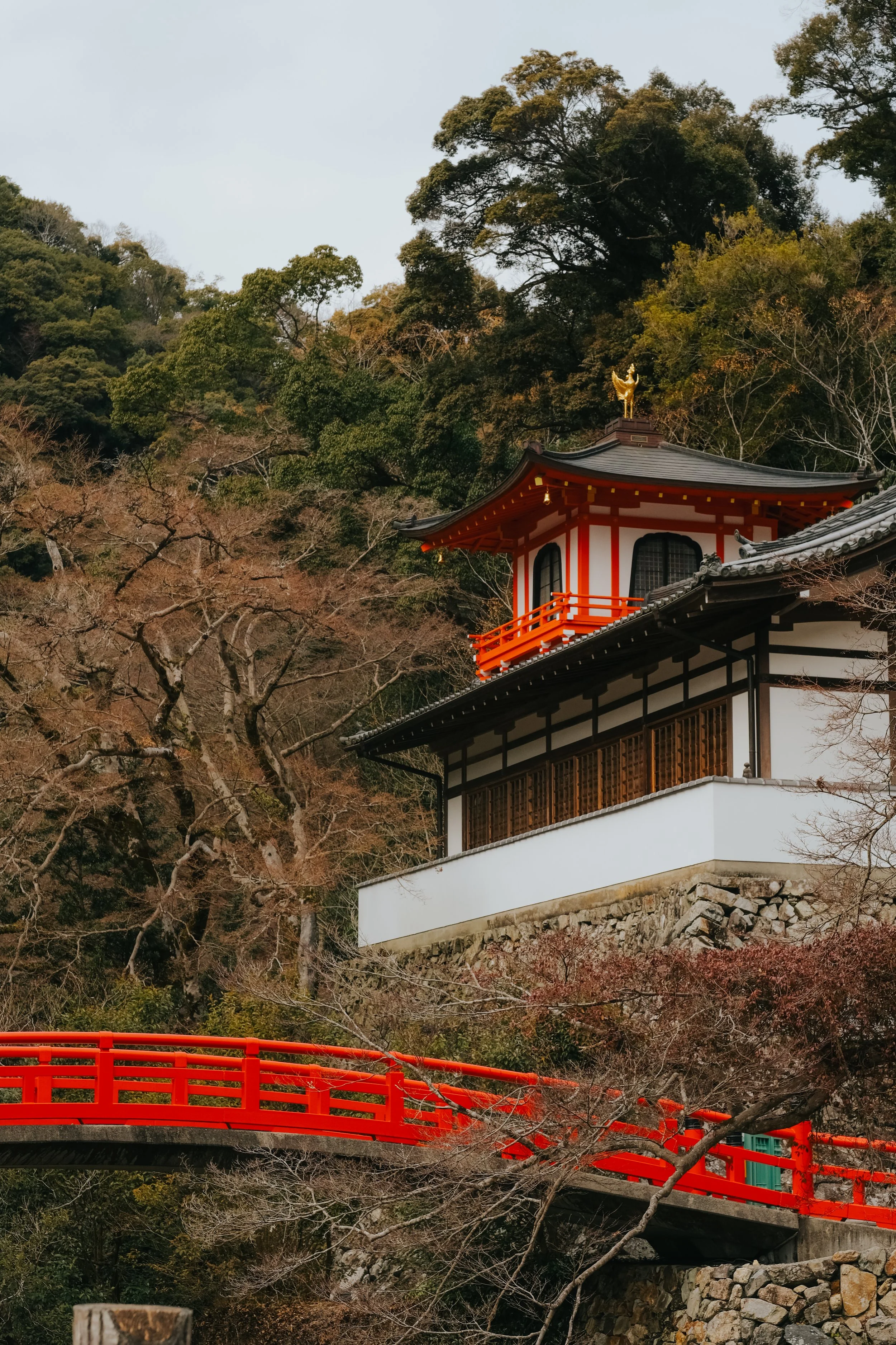 yulimaru-japan-2026-99.JPG