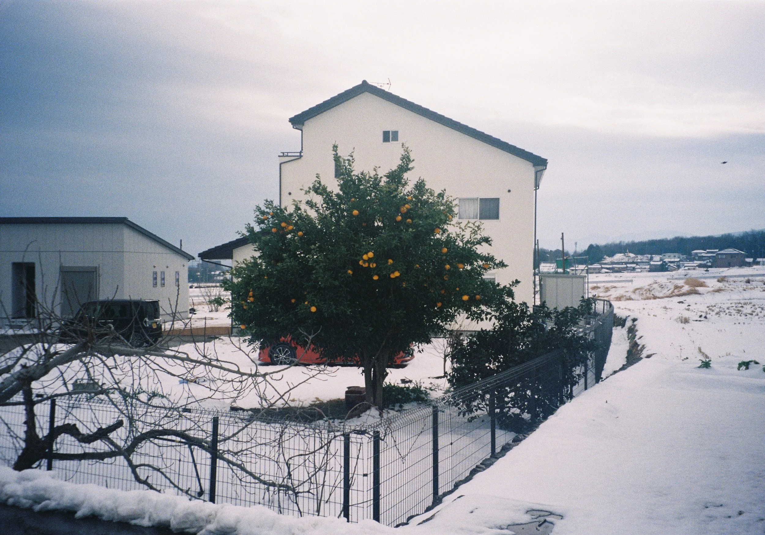yulimaru-japan-2026-FILM_8677.JPG