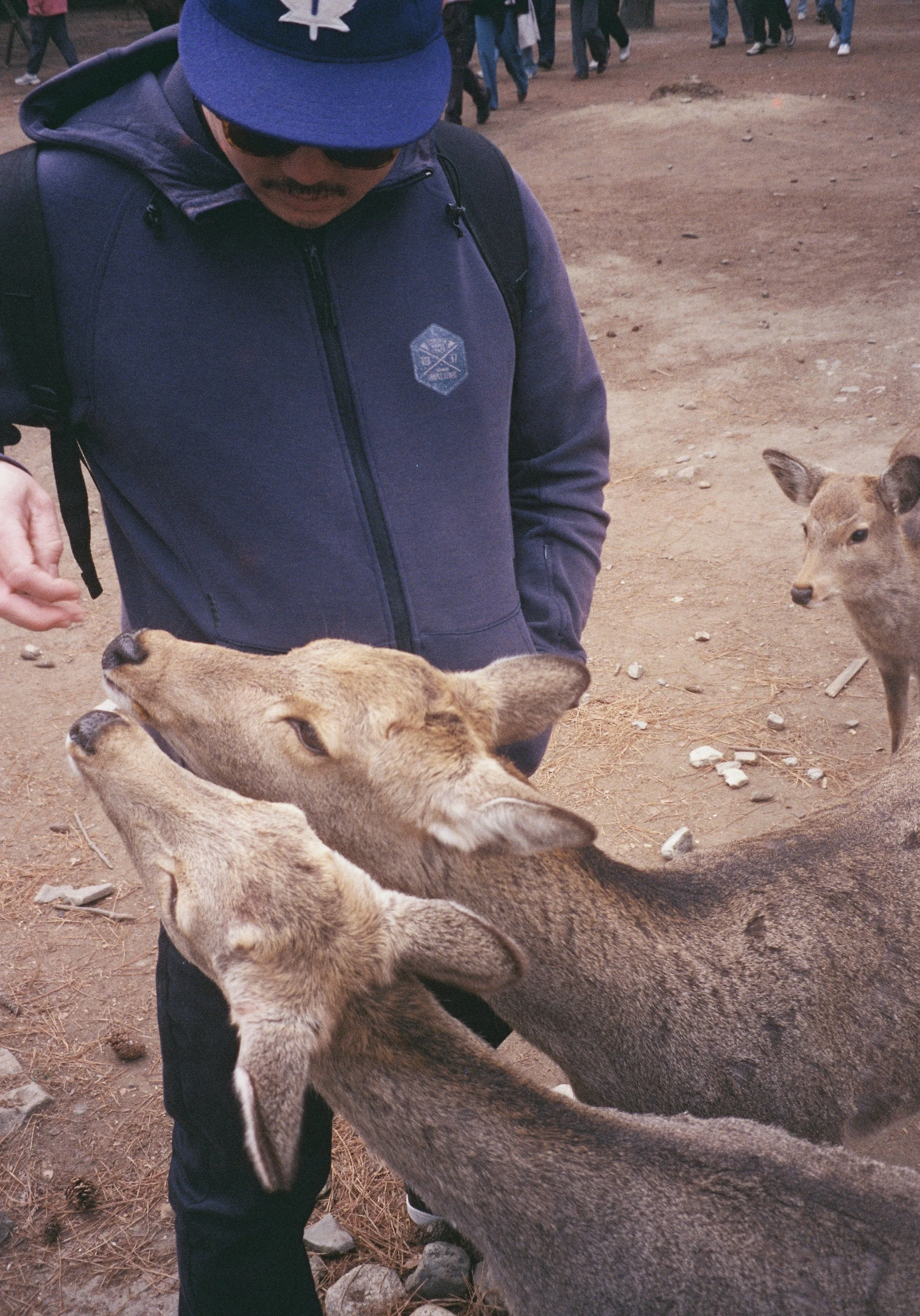 yulimaru-japan-2026-FILM_7967.JPG