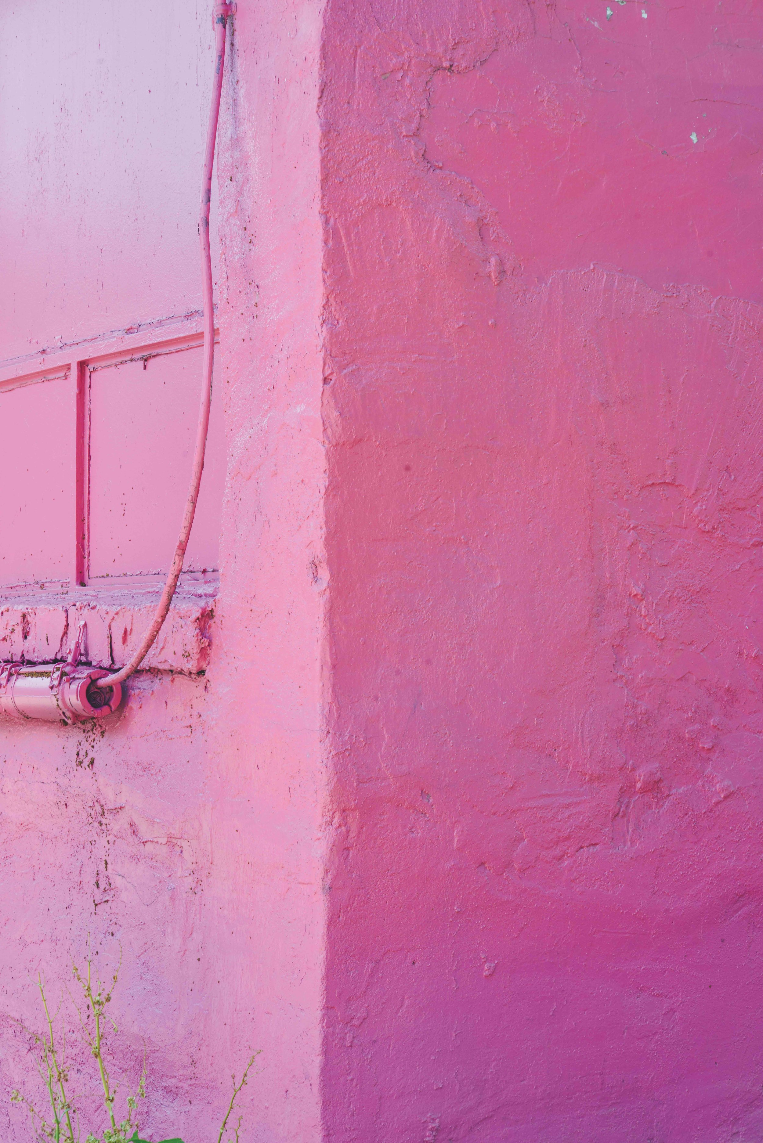 yulischeidt-cmyok-magenta-8027-SM.jpg