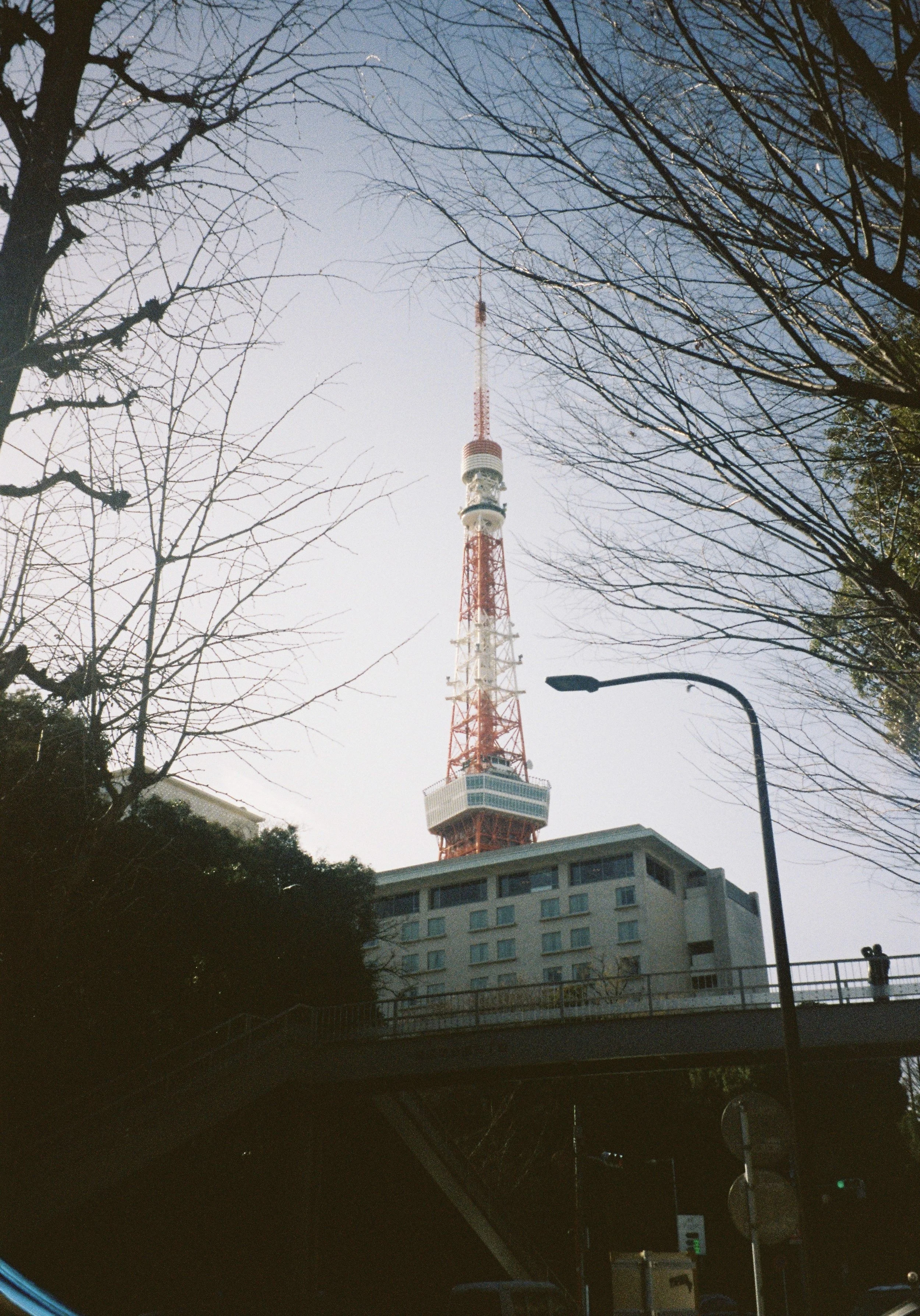 yulimaru-japan-2026-FILM_7303.JPG